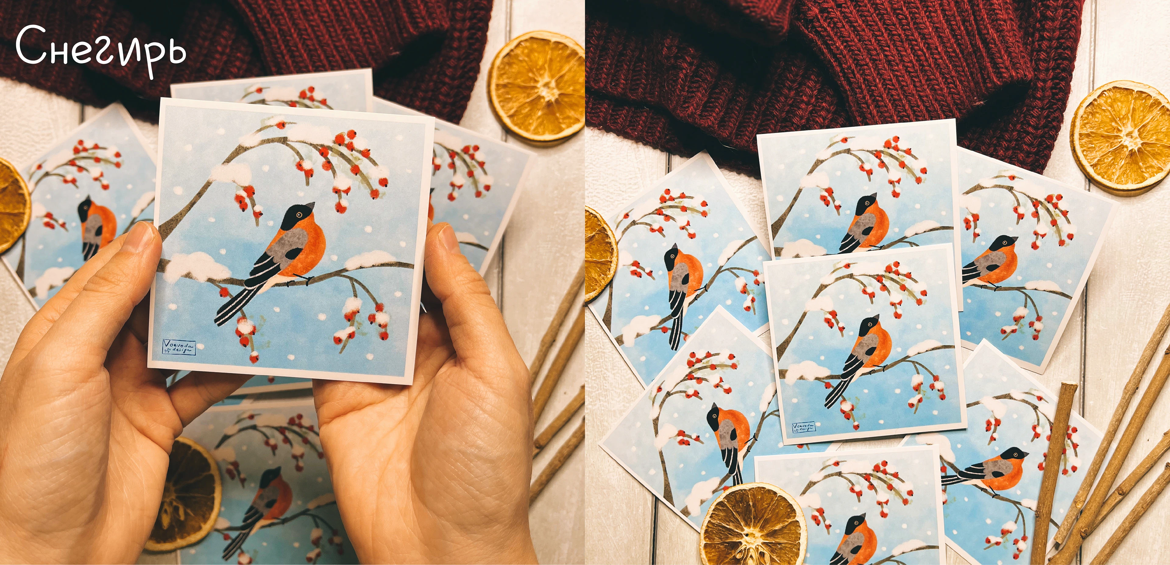 Открытки Лесные птицы — Изображение №2 — Иллюстрация, Графика на Dprofile