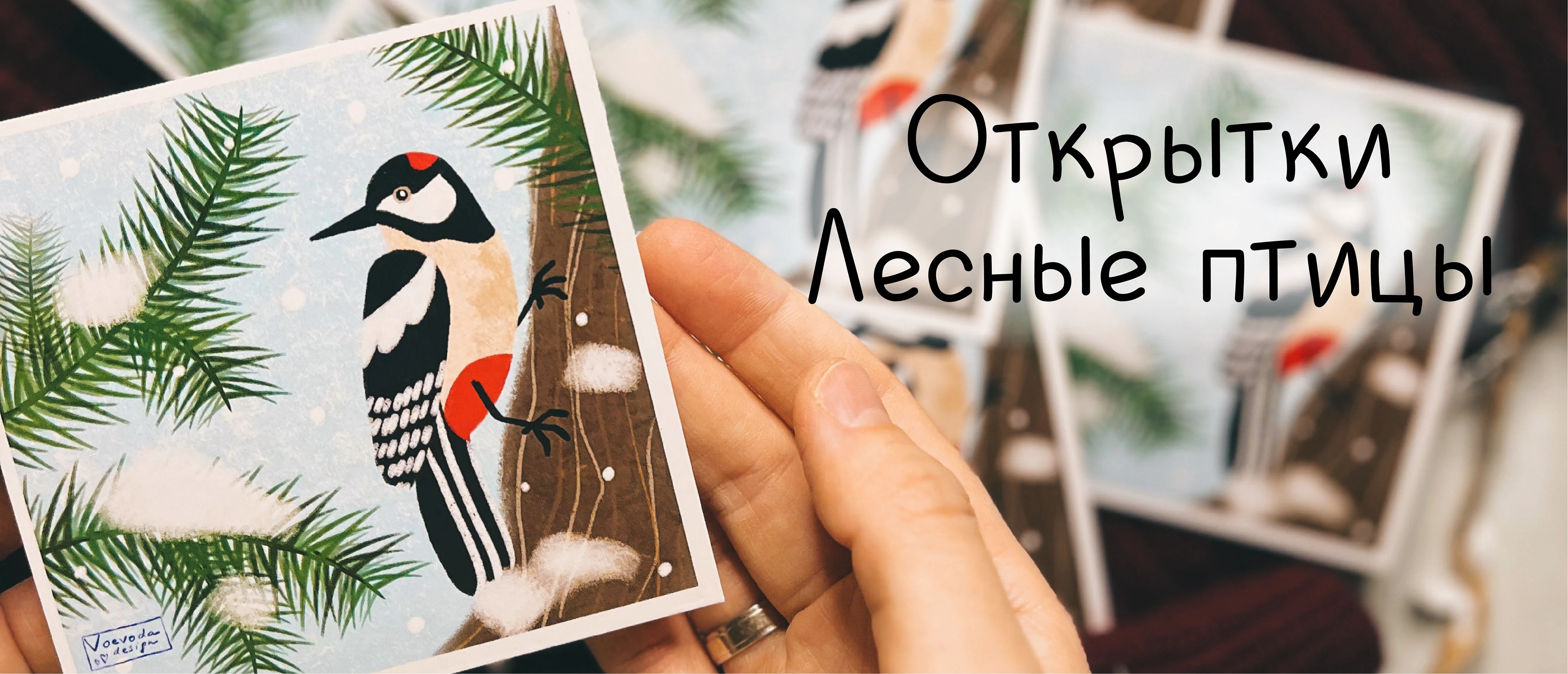 Открытки Лесные птицы — Изображение №1 — Иллюстрация, Графика на Dprofile