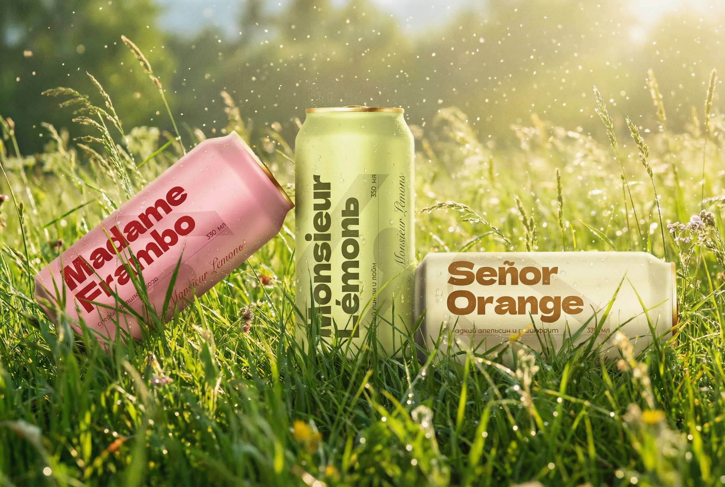 Разработка упаковки лимонадов | Концепт — Изображение №1 — Брендинг на Dprofile