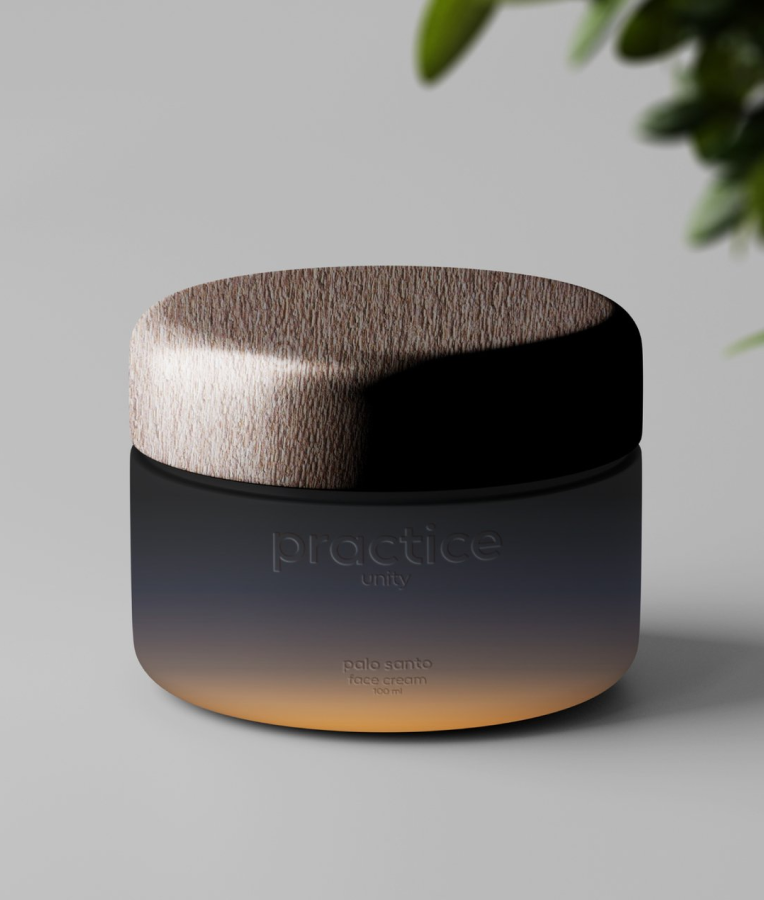 Practice — Изображение №19 — Брендинг на Dprofile