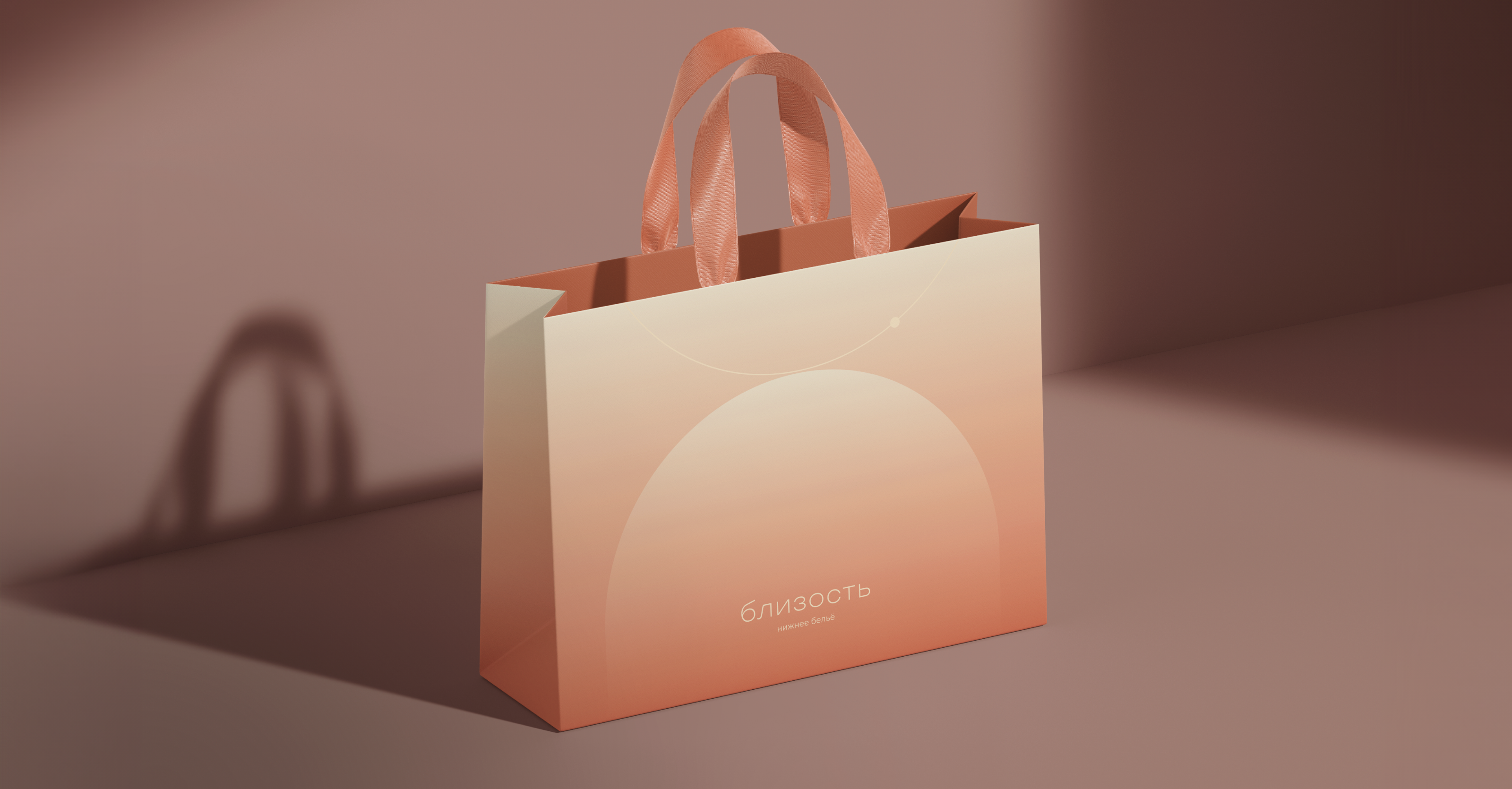 Брендинг и нейминг для магазина нижнего белья — Изображение №15 — Брендинг на Dprofile