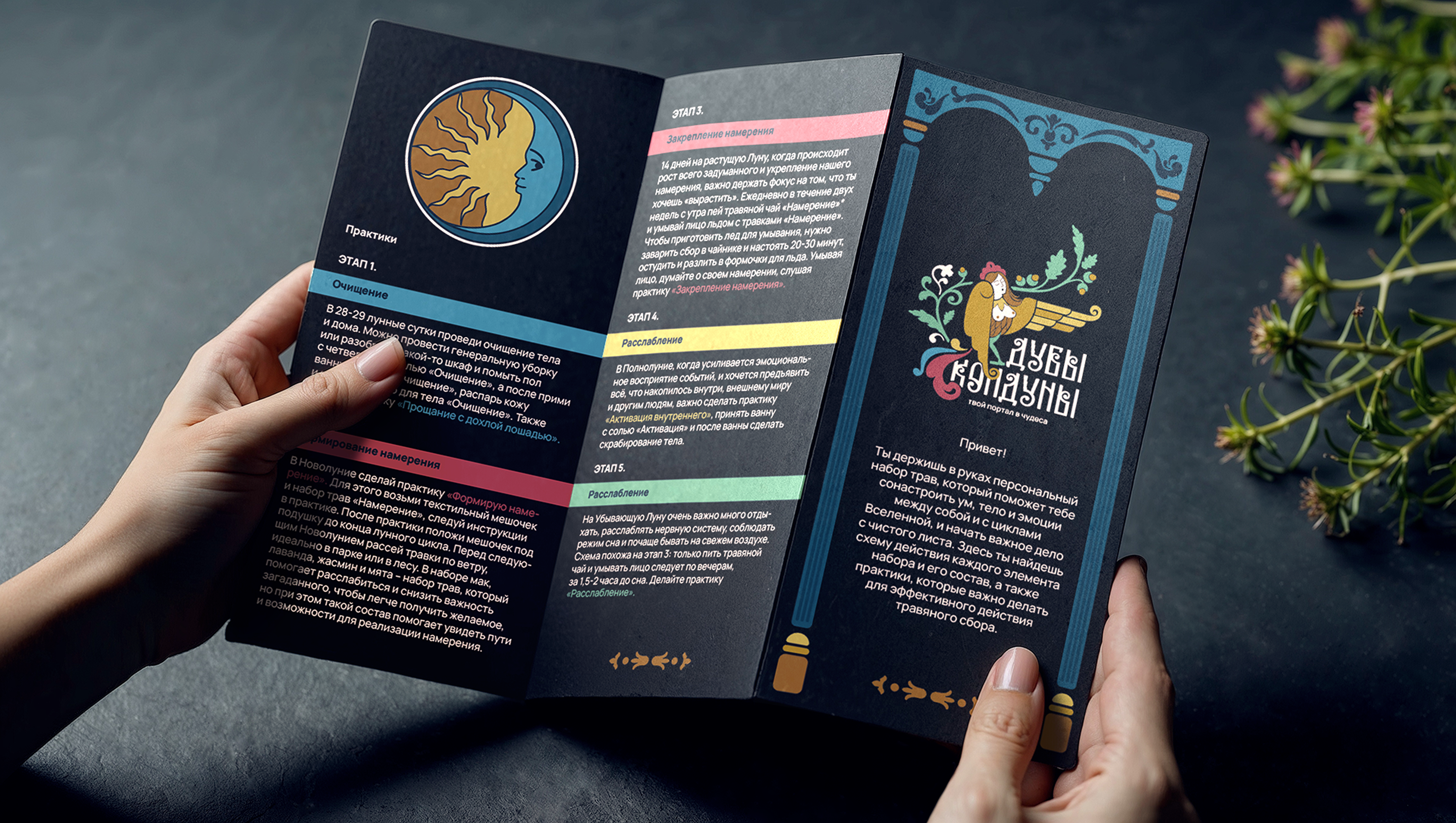 Дубы-колдуны: брендинг и упаковка — Изображение №15 — Брендинг на Dprofile