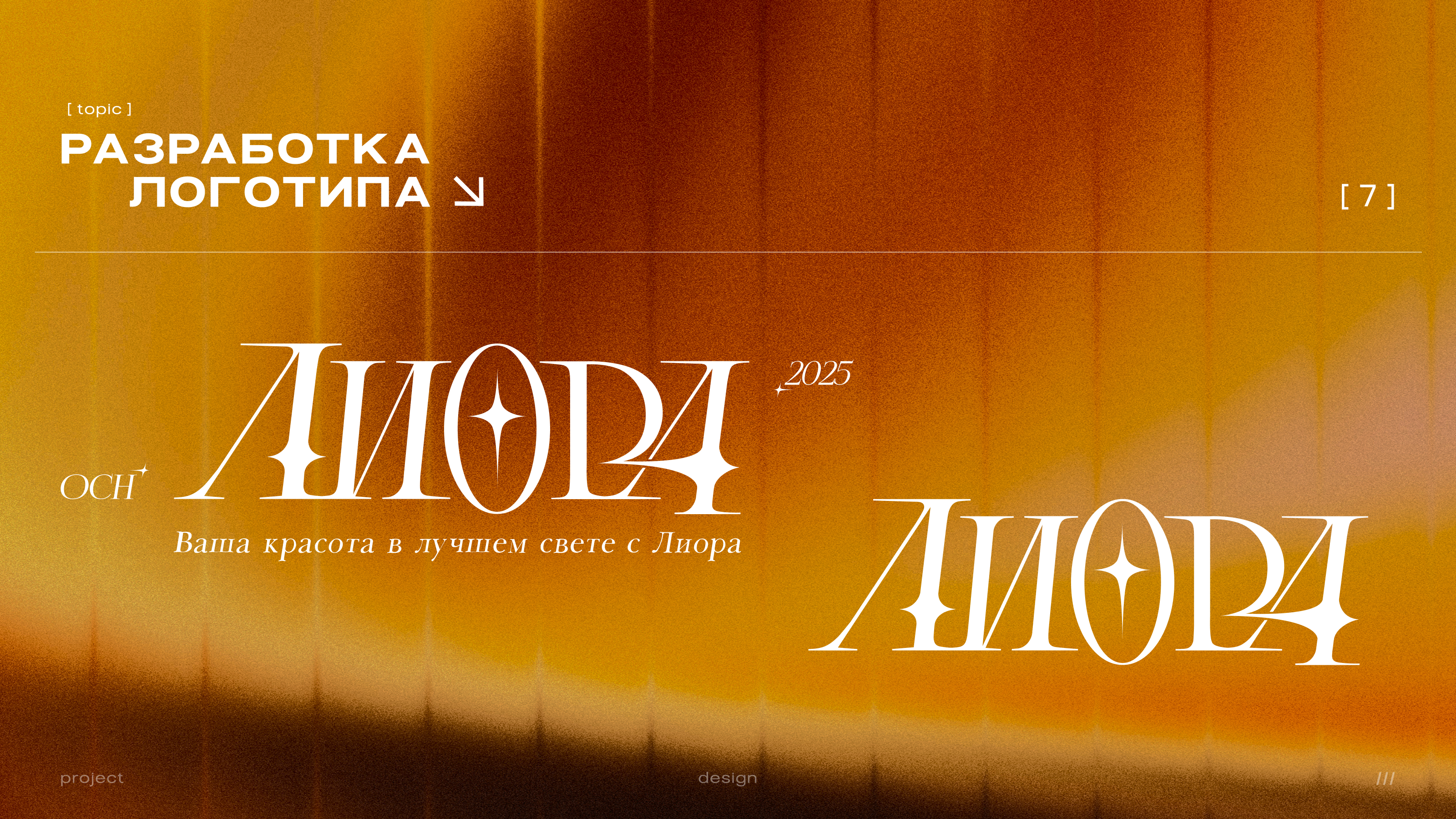 Разработка дизайна косметической линии Лиора — Изображение №7 — Брендинг, Маркетинг на Dprofile