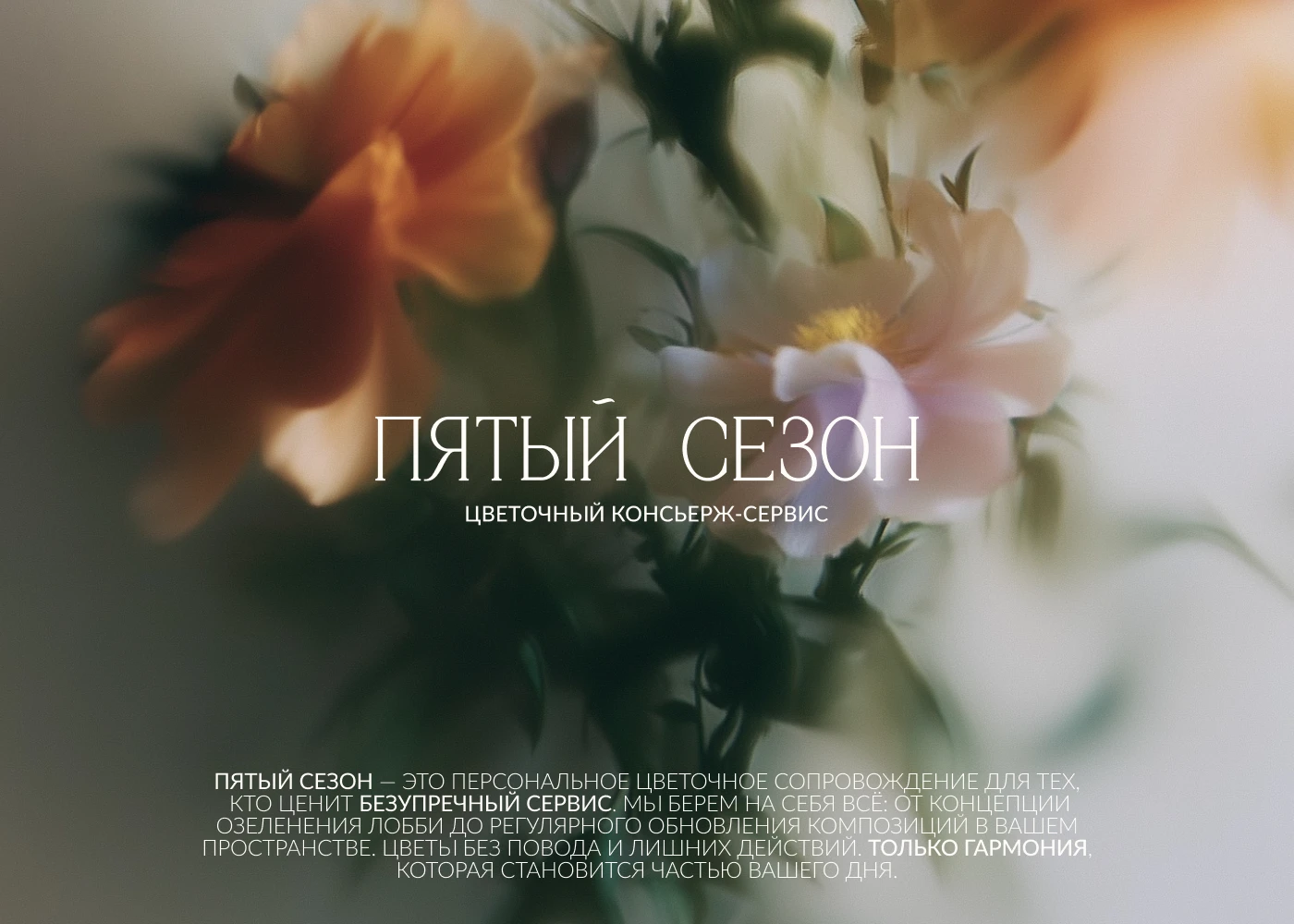 Цветочный сервис | флористика |фирменный стиль | айдентика — Изображение №1 — Брендинг, Графика на Dprofile