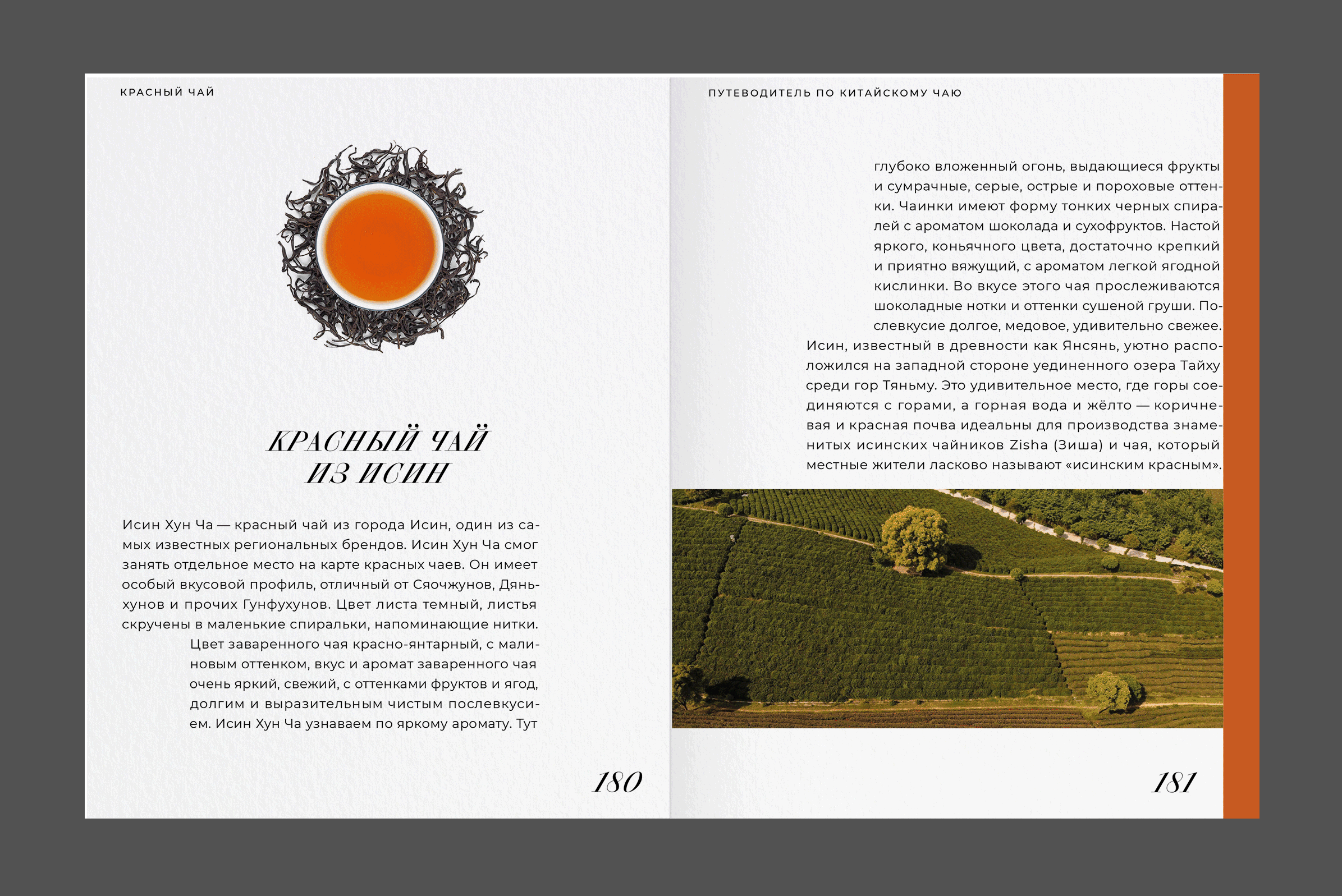 Путеводитель по китайскому чаю | Дизайн книги — Изображение №10 — Графика на Dprofile