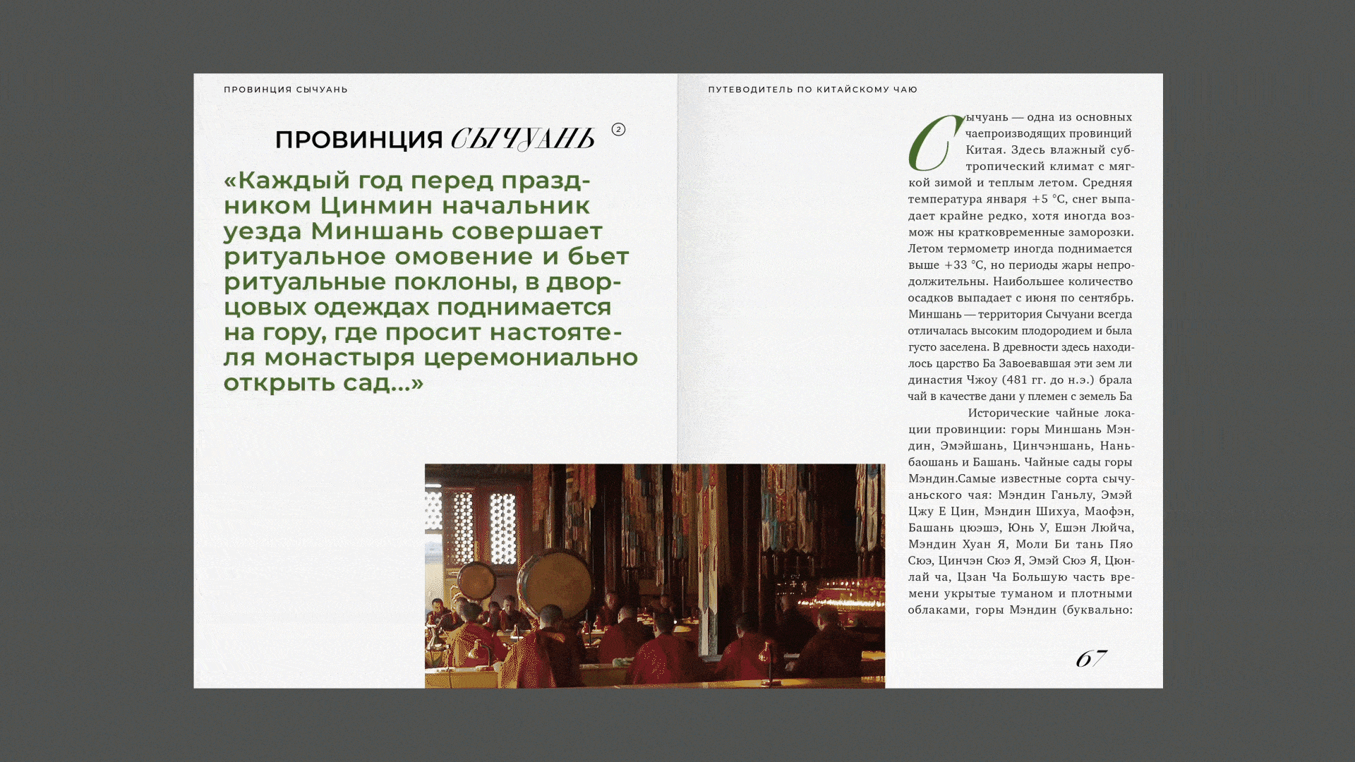 Путеводитель по китайскому чаю | Дизайн книги — Изображение №7 — Графика на Dprofile