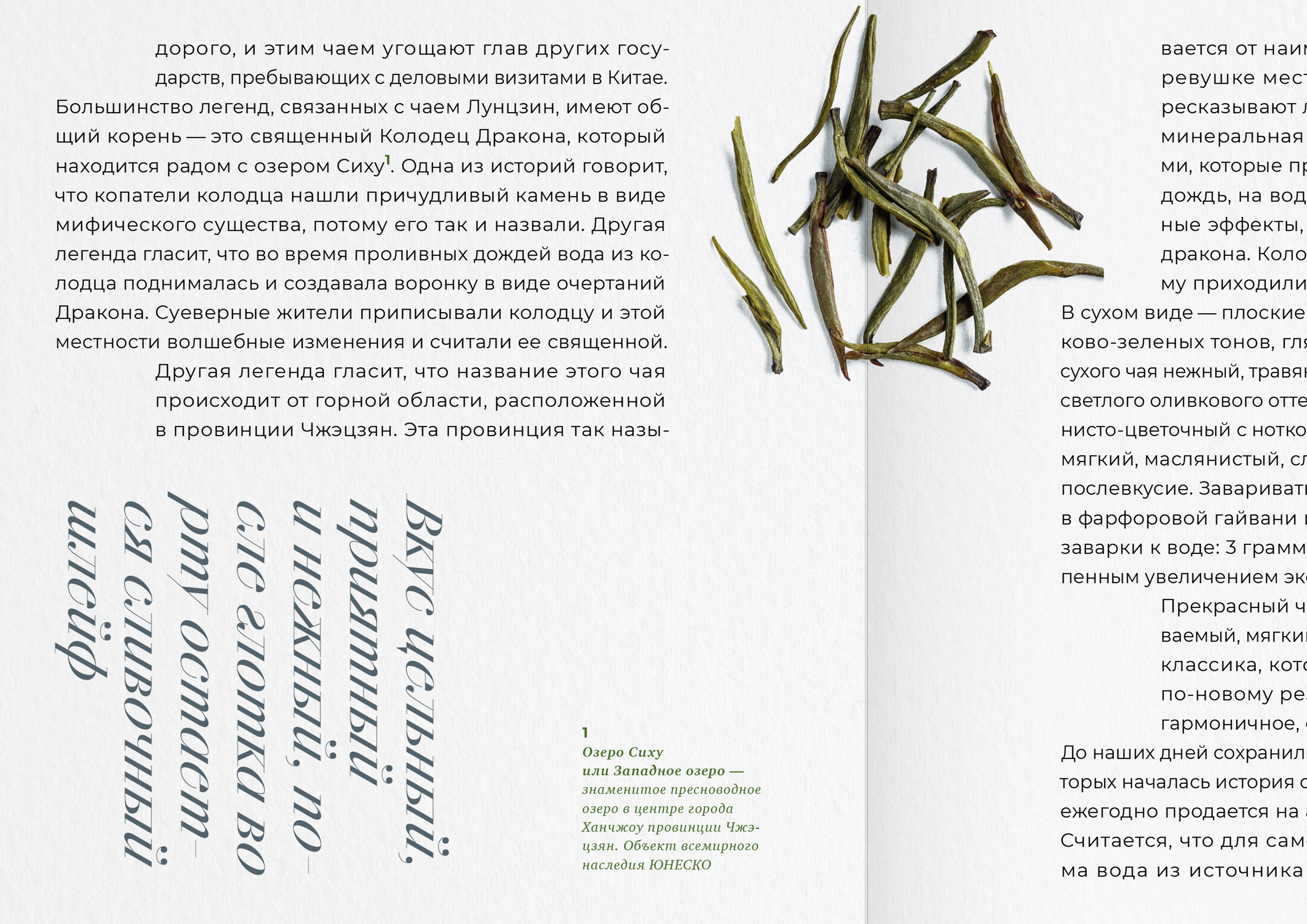 Путеводитель по китайскому чаю | Дизайн книги — Изображение №11 — Графика на Dprofile