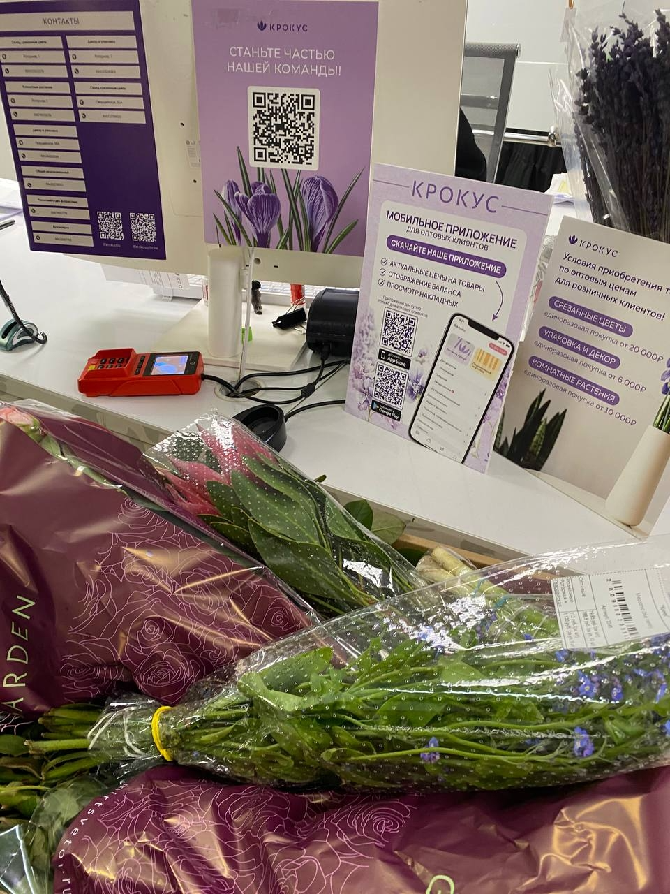 Листовка для цветочного "Крокус" — Изображение №3 — Графика, Маркетинг на Dprofile