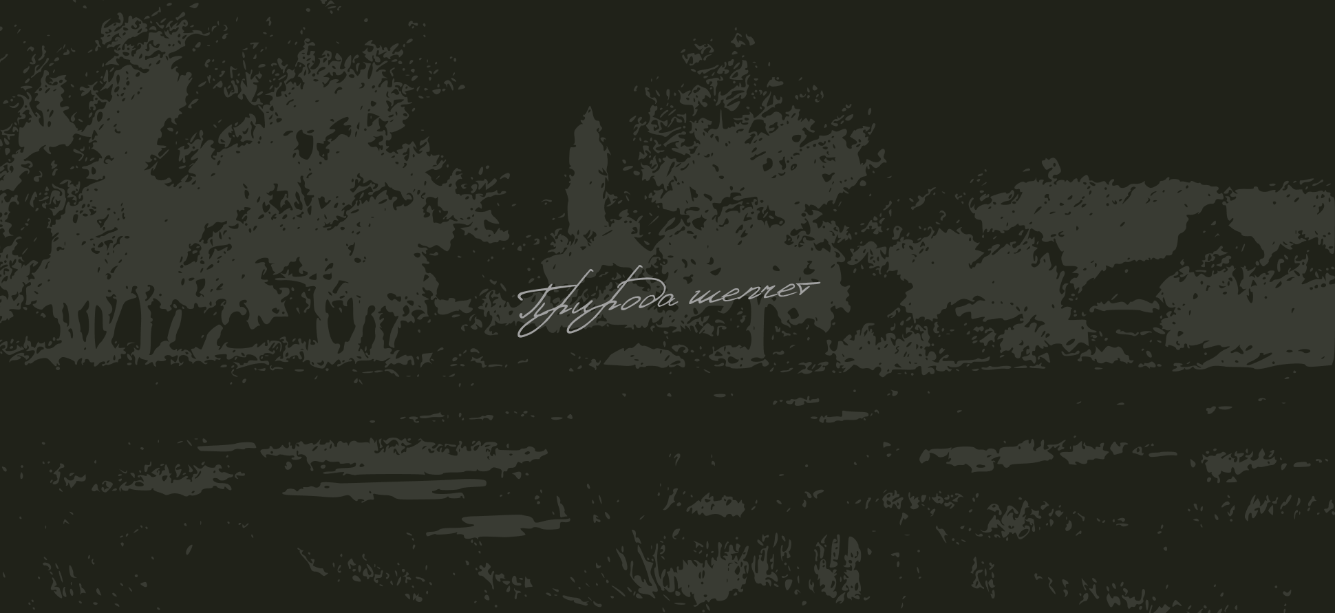 SILVA | Бренд домашних ароматов — Изображение №9 — Брендинг на Dprofile