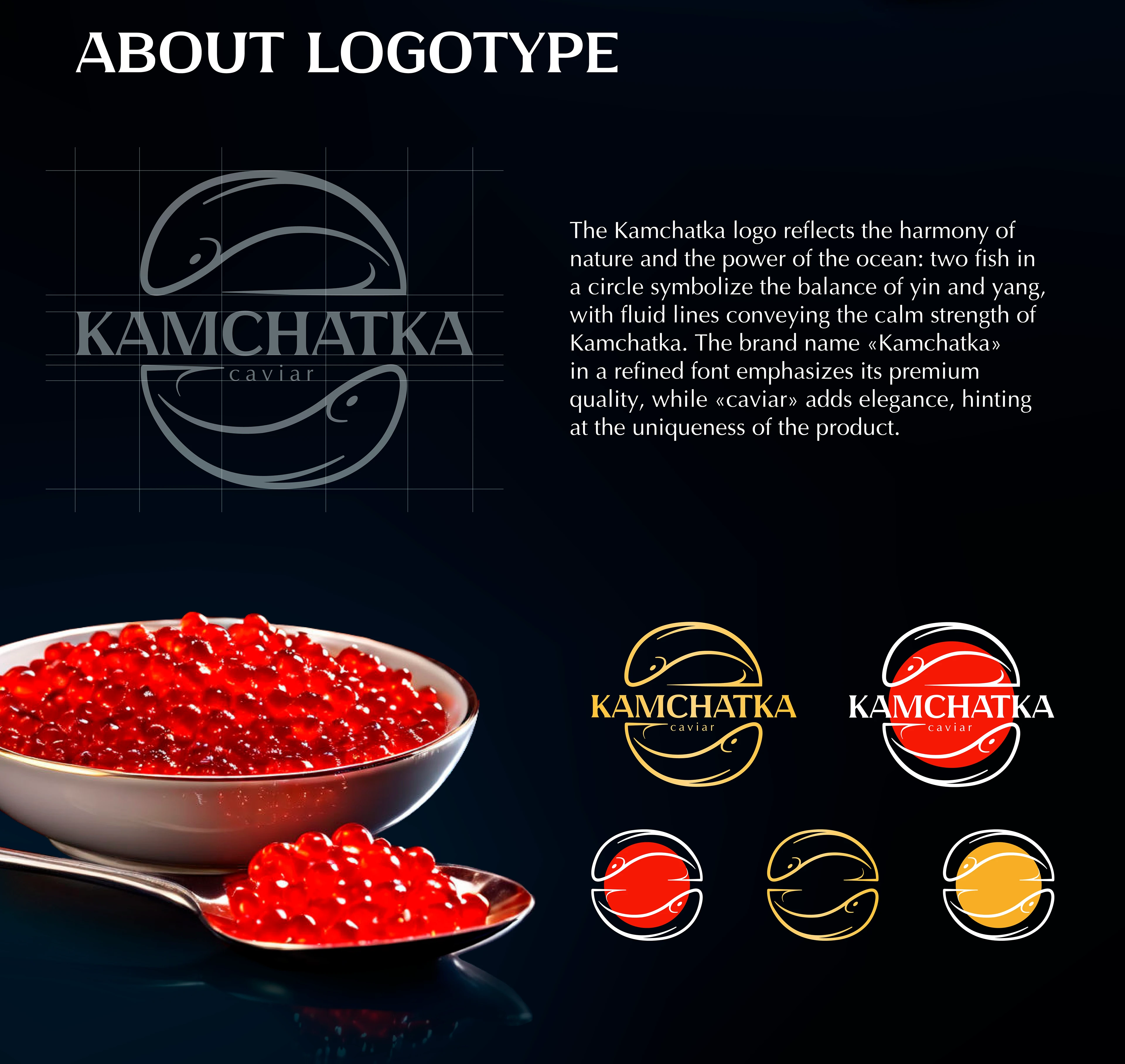 Corporate identity Kamchatka — Изображение №2 — Брендинг на Dprofile