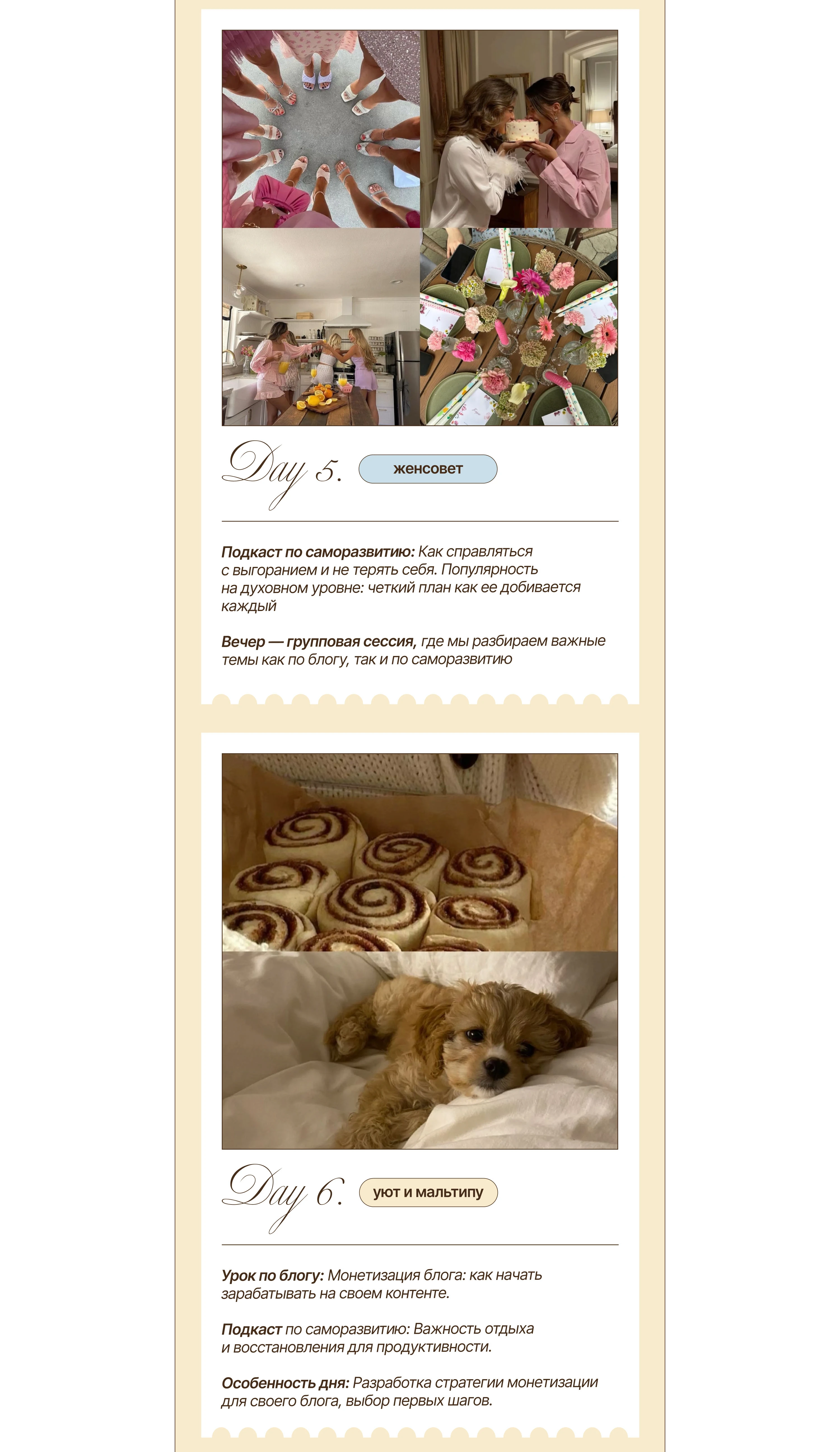 Дизайн сайта на Таплинк / Taplink Website / Презентация — Изображение №8 — Интерфейсы на Dprofile