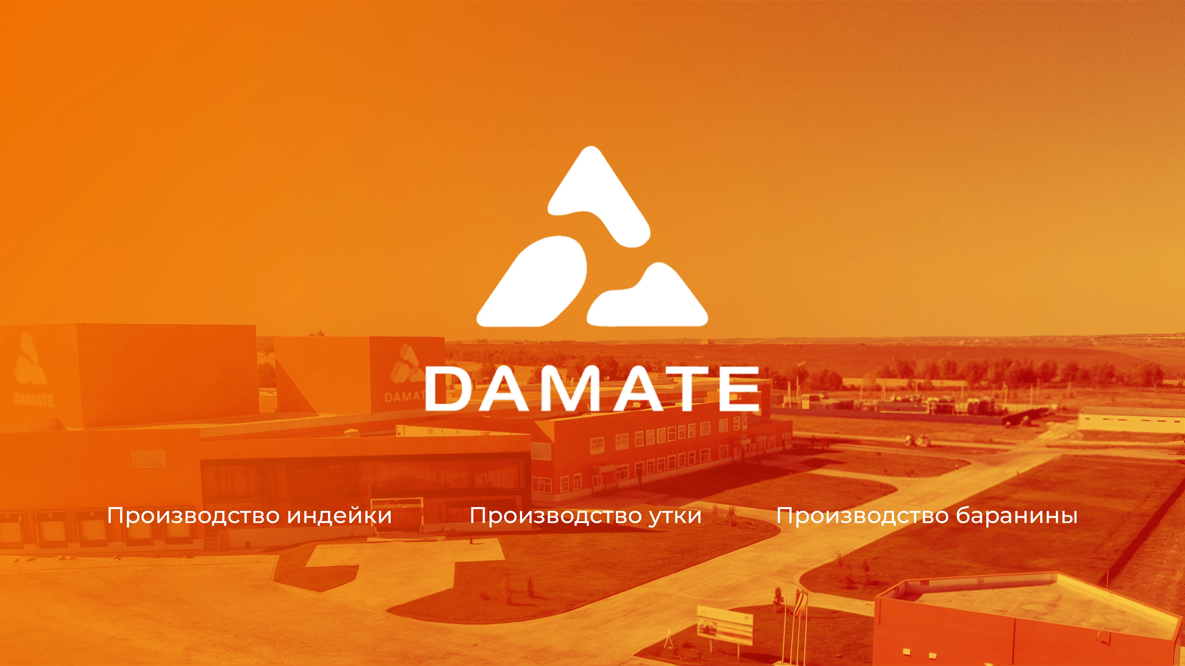 Индилайт (абонентское обслуживание) — Изображение №2 — Графика, 3D на Dprofile