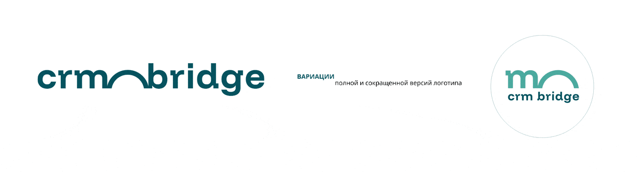 CRM Bridge — Изображение №5 — Брендинг на Dprofile