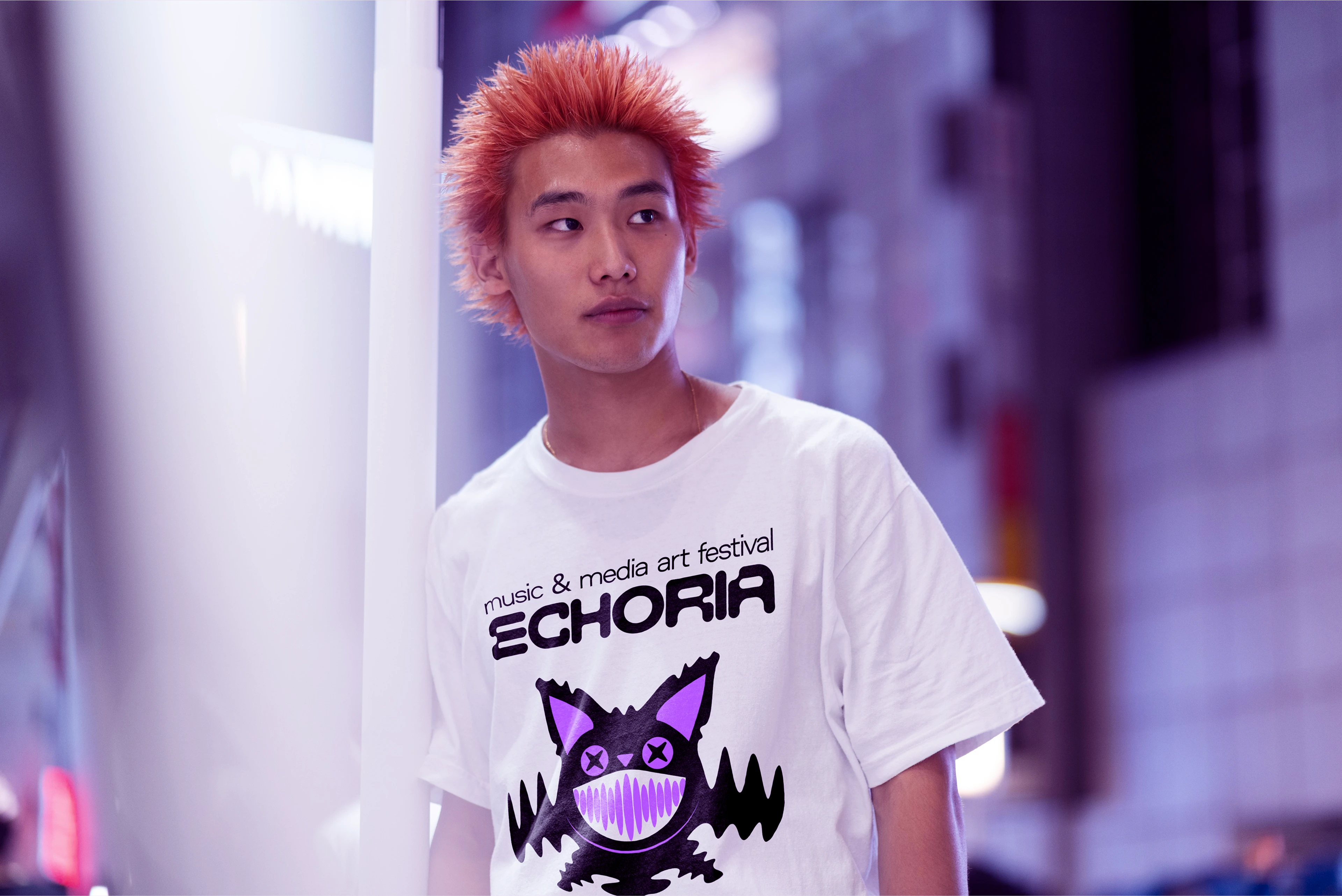 ECHORIA MUSIC & MEDIA ART FESTIVAL [BRAND IDENTITY] — Изображение №11 — Брендинг, Иллюстрация на Dprofile