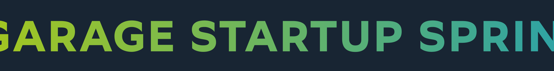 GARAGE STARTUP SPRINT 1.0 — Изображение №2 — Брендинг на Dprofile