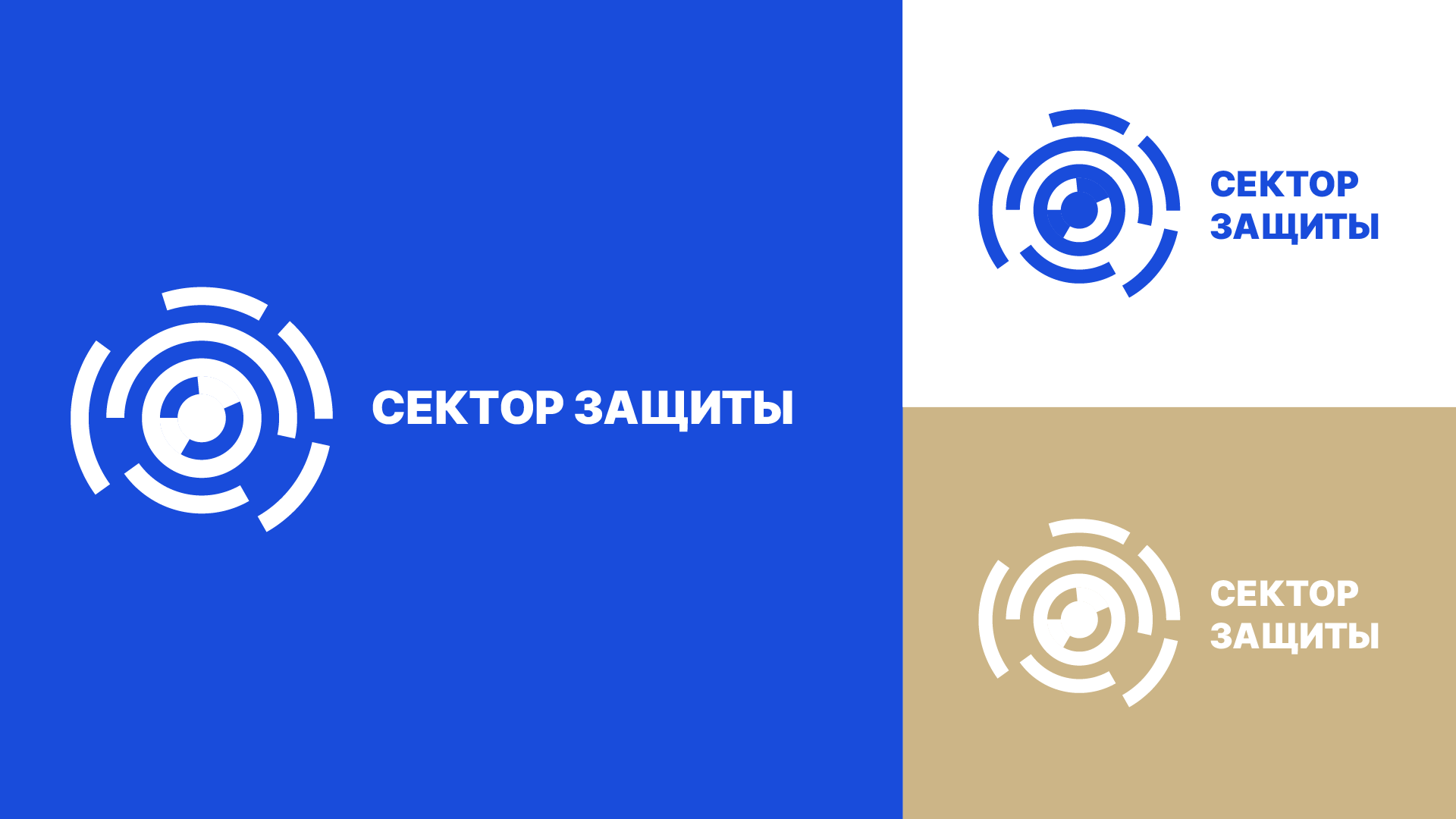 Сектор защиты | Брендинг — Изображение №2 — Брендинг на Dprofile