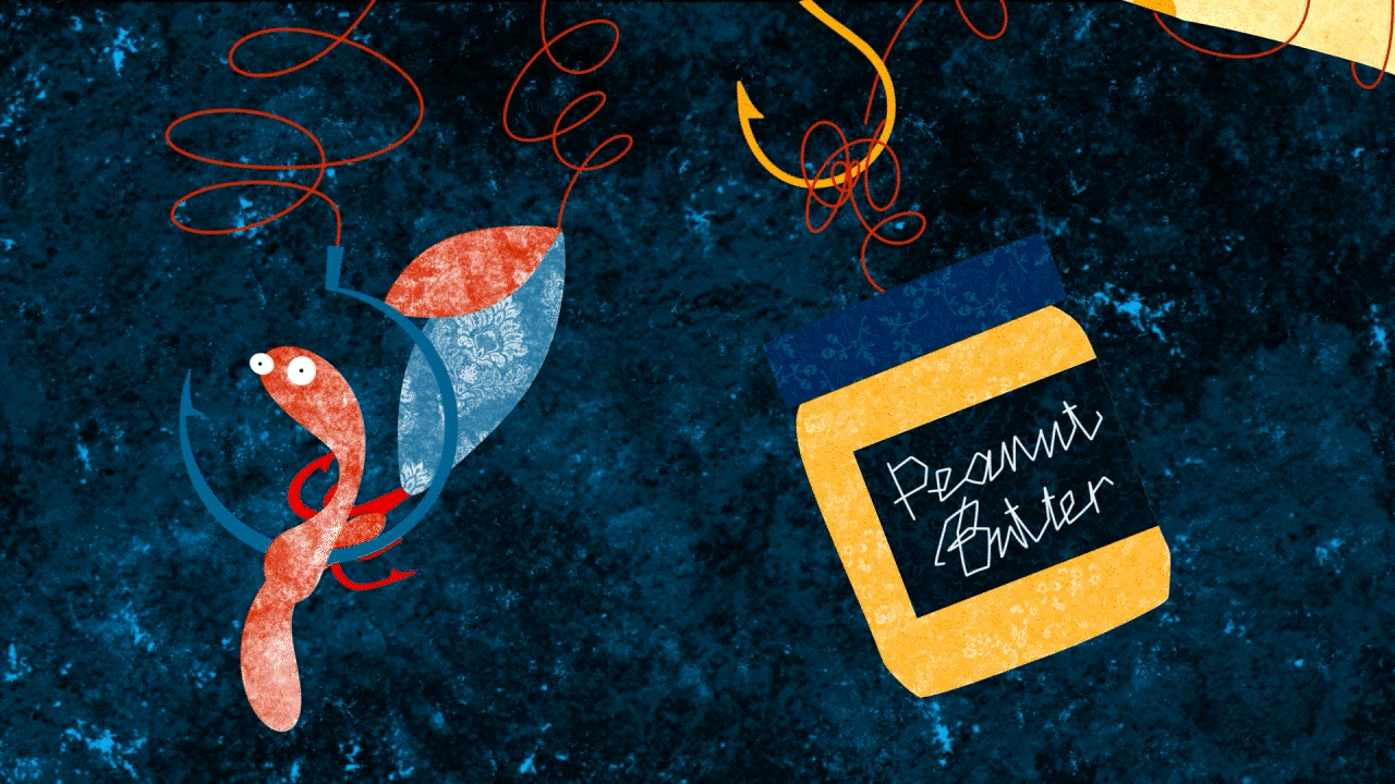 Big Fish — Изображение №8 — Иллюстрация, Анимация на Dprofile