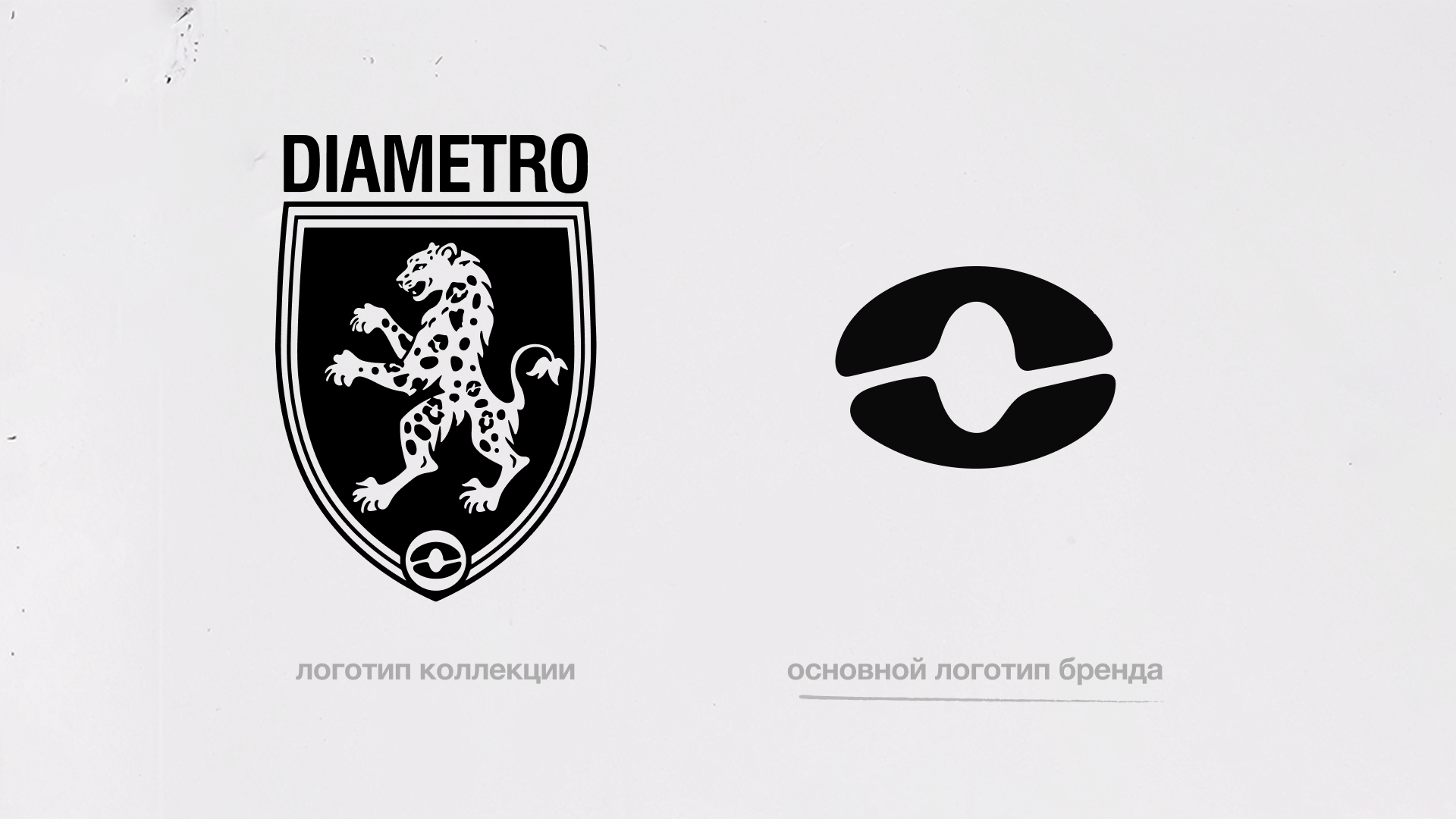 DIAMETRO — CLOTHING BRAND IDENTITY — Изображение №5 — Брендинг на Dprofile