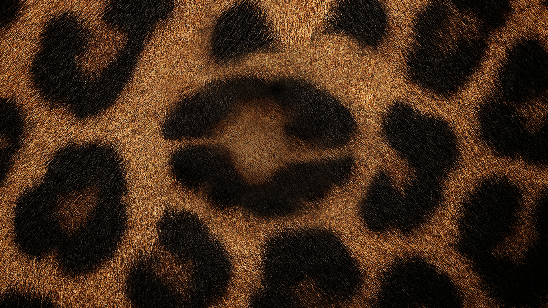 DIAMETRO — CLOTHING BRAND IDENTITY — Изображение №1 — Брендинг на Dprofile