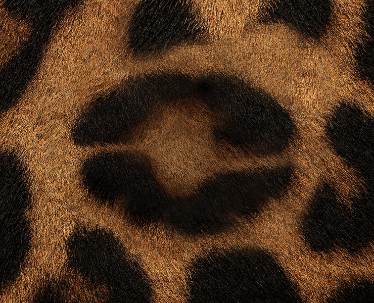 DIAMETRO — CLOTHING BRAND IDENTITY на Dprofile