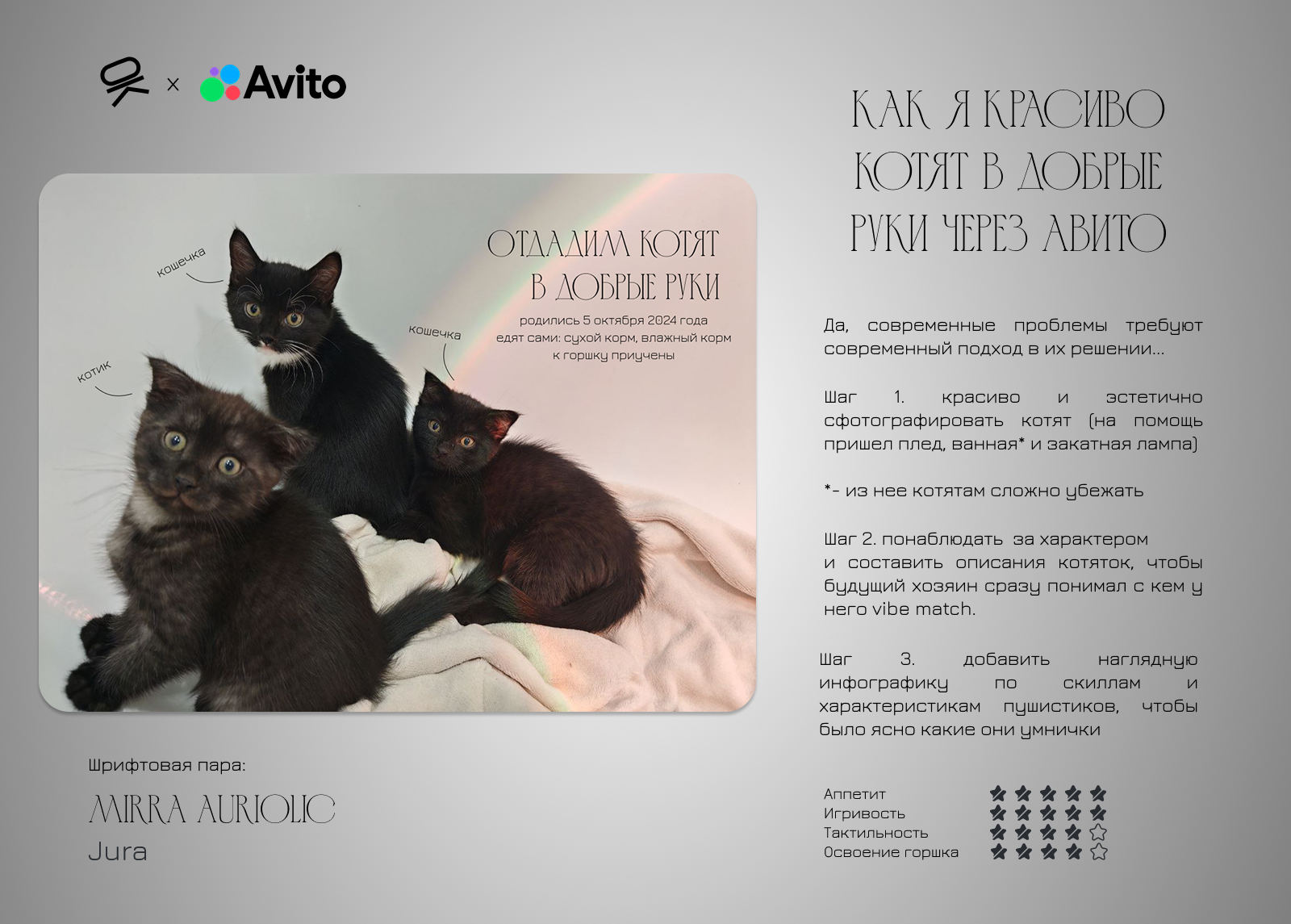 Котята на Авито — Изображение №1 — Маркетинг на Dprofile