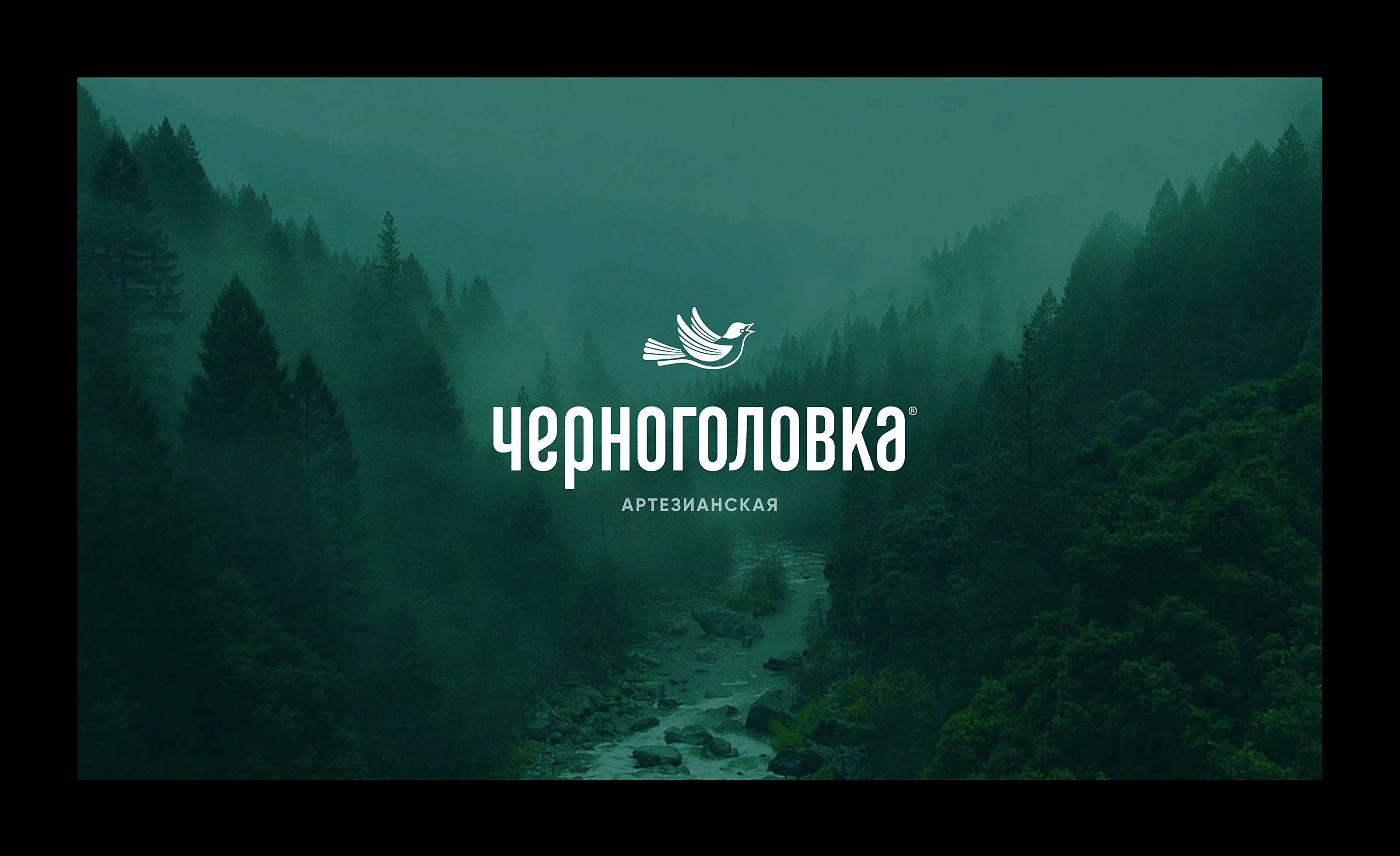 Chernogolovka — Изображение №2 — Брендинг на Dprofile