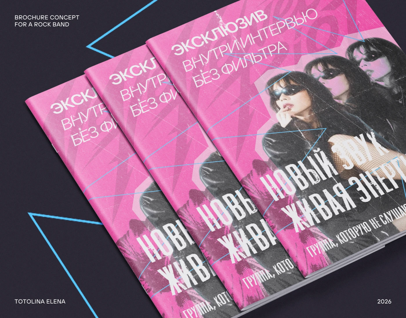 Brochure / Брошюра / Рок-группа — Изображение №1 — Брендинг, Графика на Dprofile