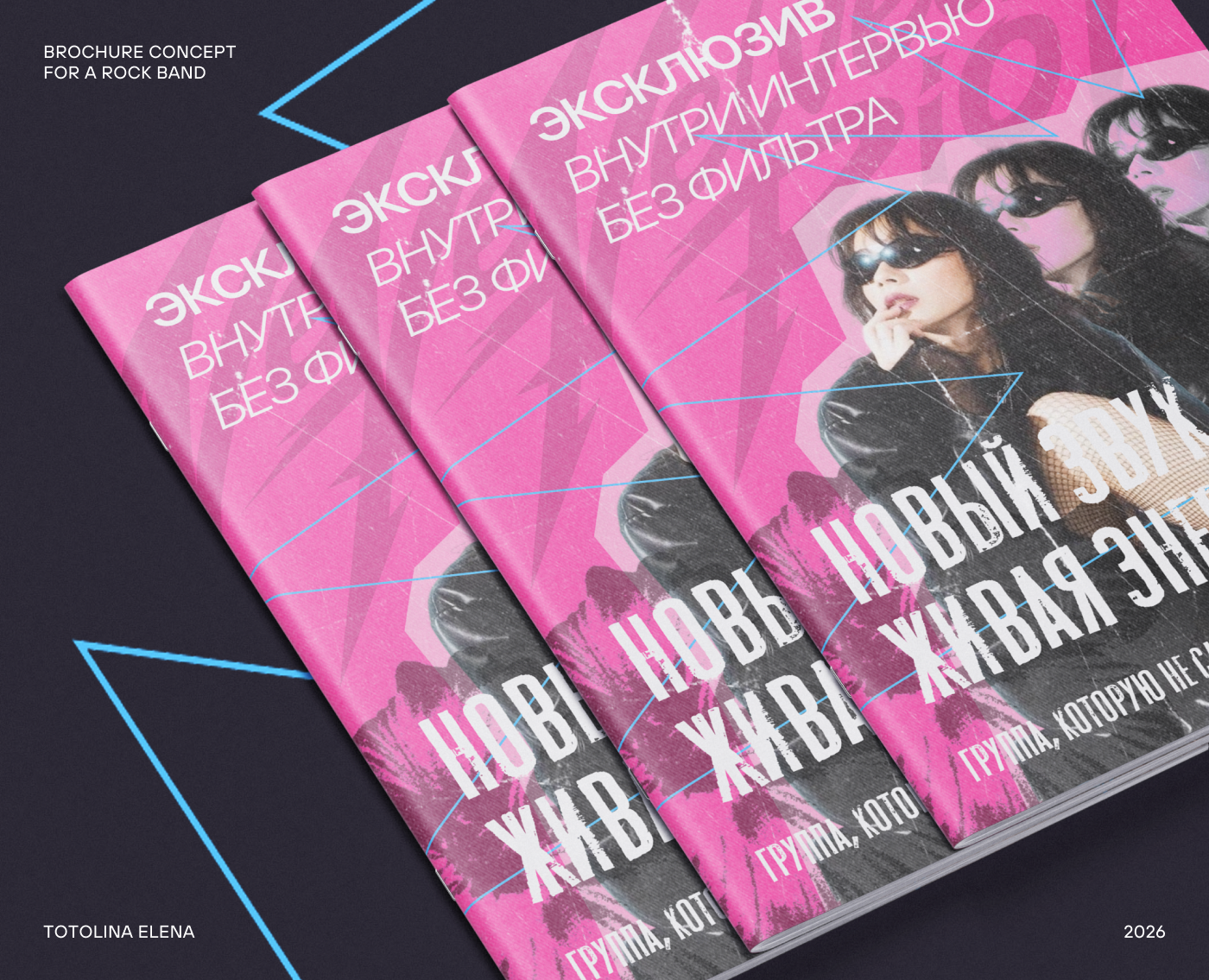 Brochure / Брошюра / Рок-группа — Брендинг, Графика на Dprofile