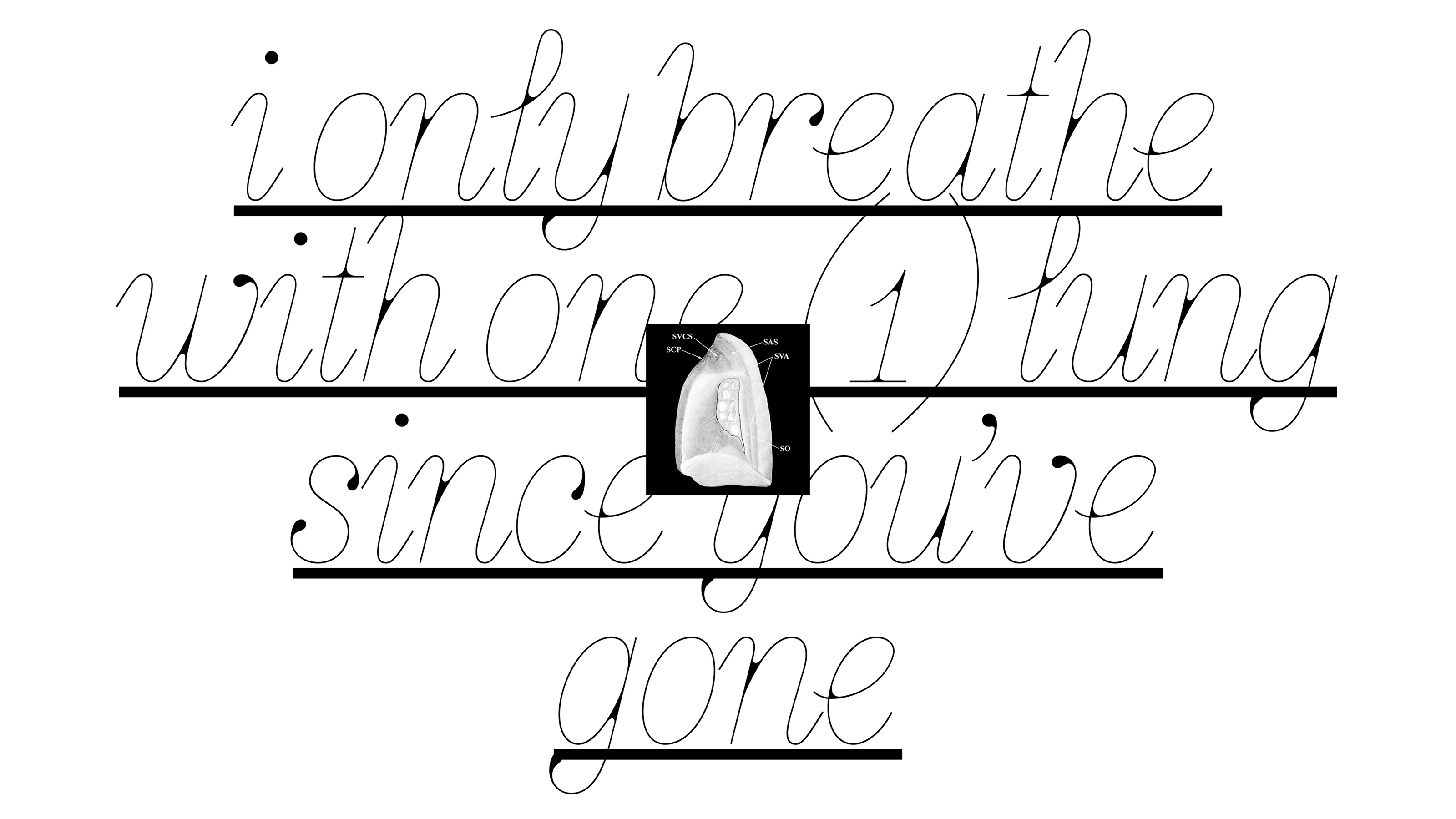 Aflourish Typeface — Изображение №7 — Графика на Dprofile