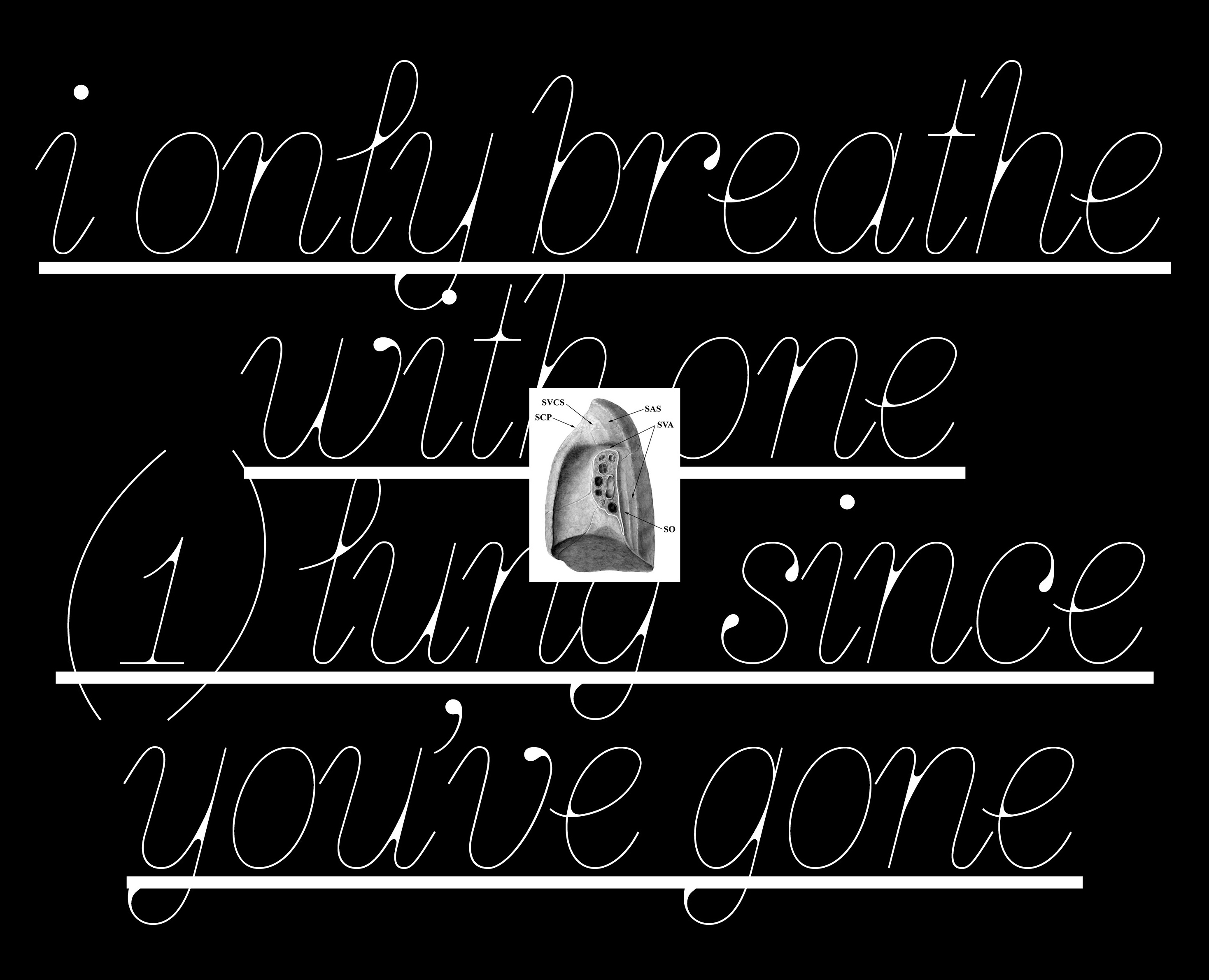 Aflourish Typeface — Графика на Dprofile