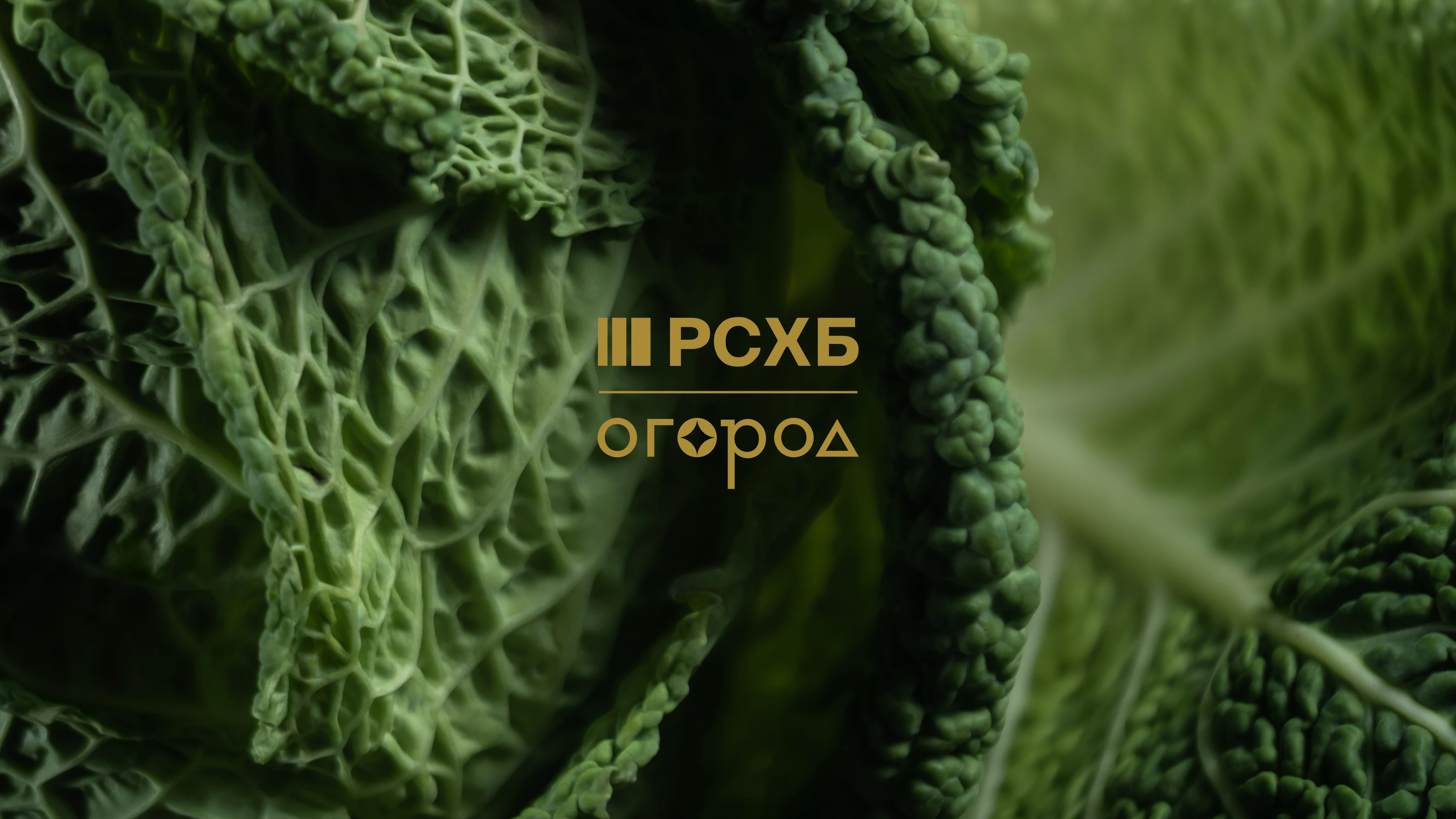 РСХБ. Новогодние подарки для партнёров — Изображение №1 — Брендинг на Dprofile