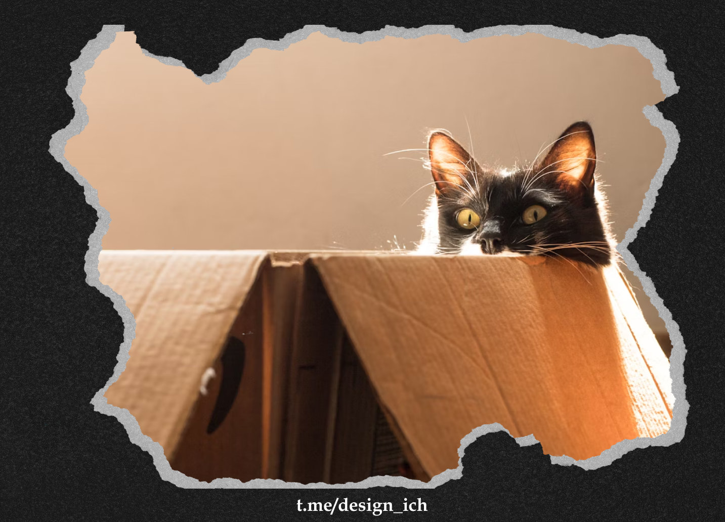 20 Кусочков Бумаги | Скачать бесплатно для коммерции — Изображение №4 — Графика на Dprofile