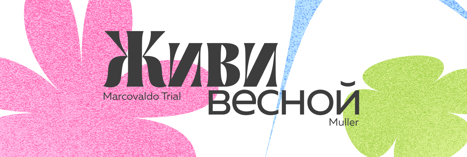 Студенческая весна в ТГУ 2026 — Изображение №6 — Брендинг на Dprofile