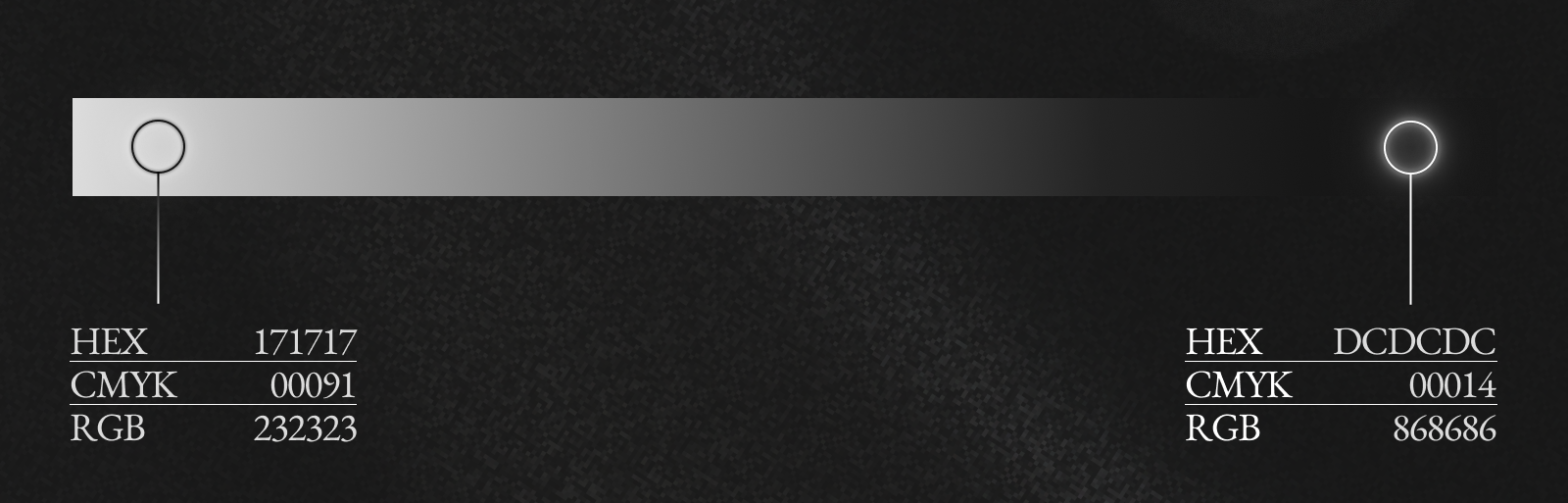 Итоги года в сфере молодежной политики ТГУ 2025 | брендинг — Изображение №3 — Брендинг на Dprofile