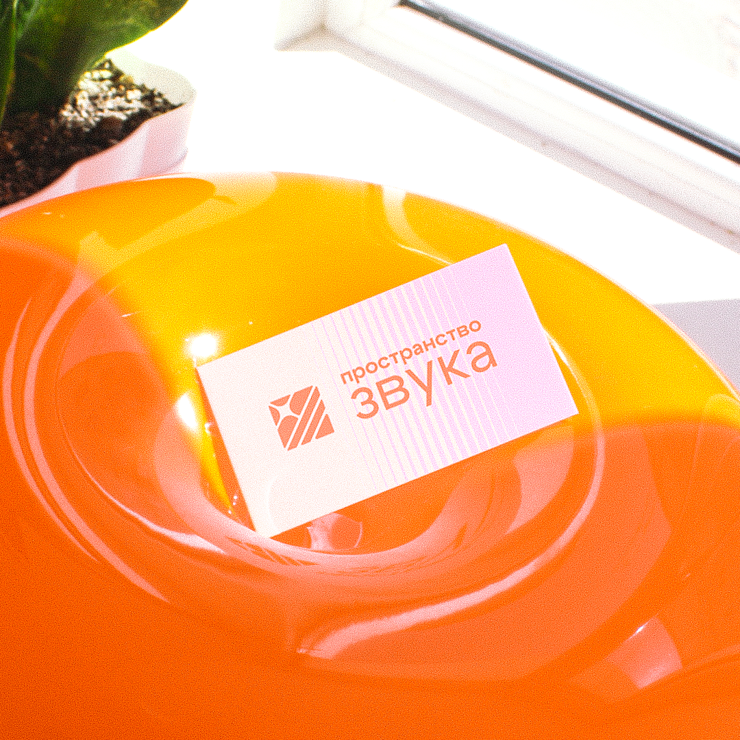 Айдентика для музыкального магазина «Пространство звука» — Изображение №10 — Брендинг, Графика на Dprofile