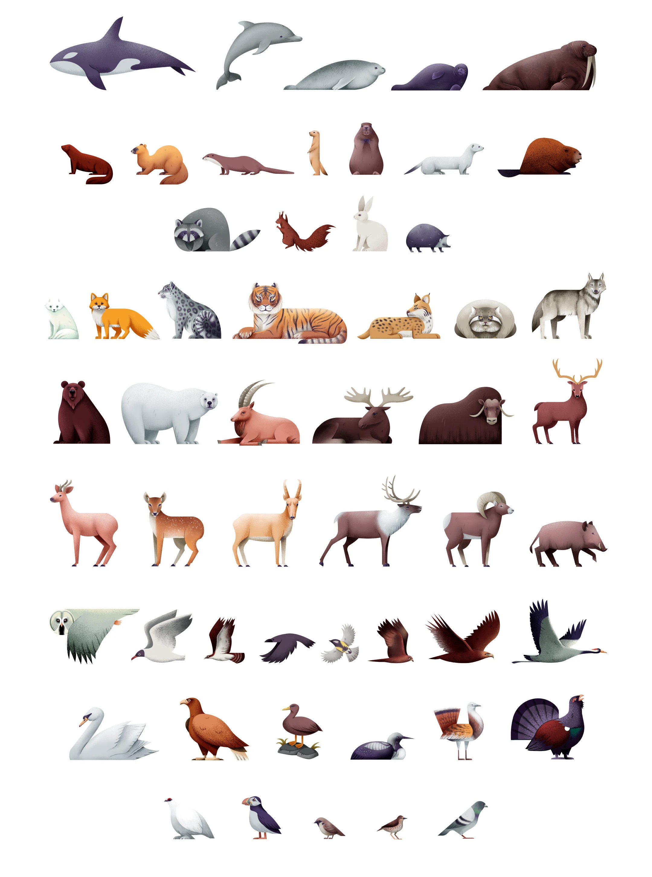 Карта России — Изображение №3 — Иллюстрация на Dprofile