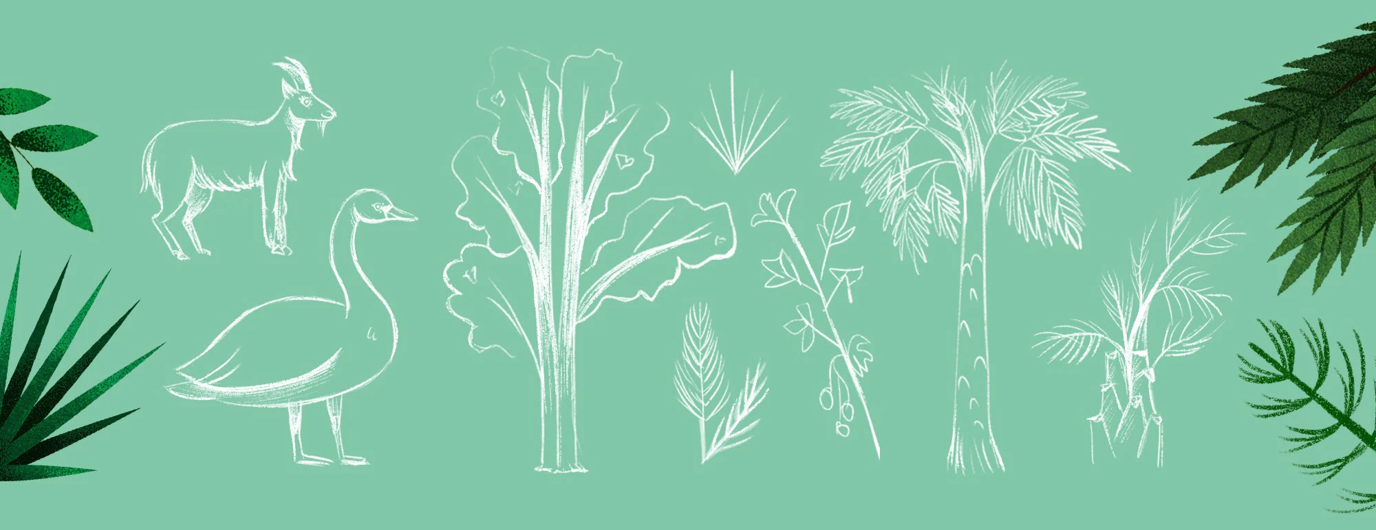 Динозавры — Изображение №11 — Иллюстрация, Анимация на Dprofile