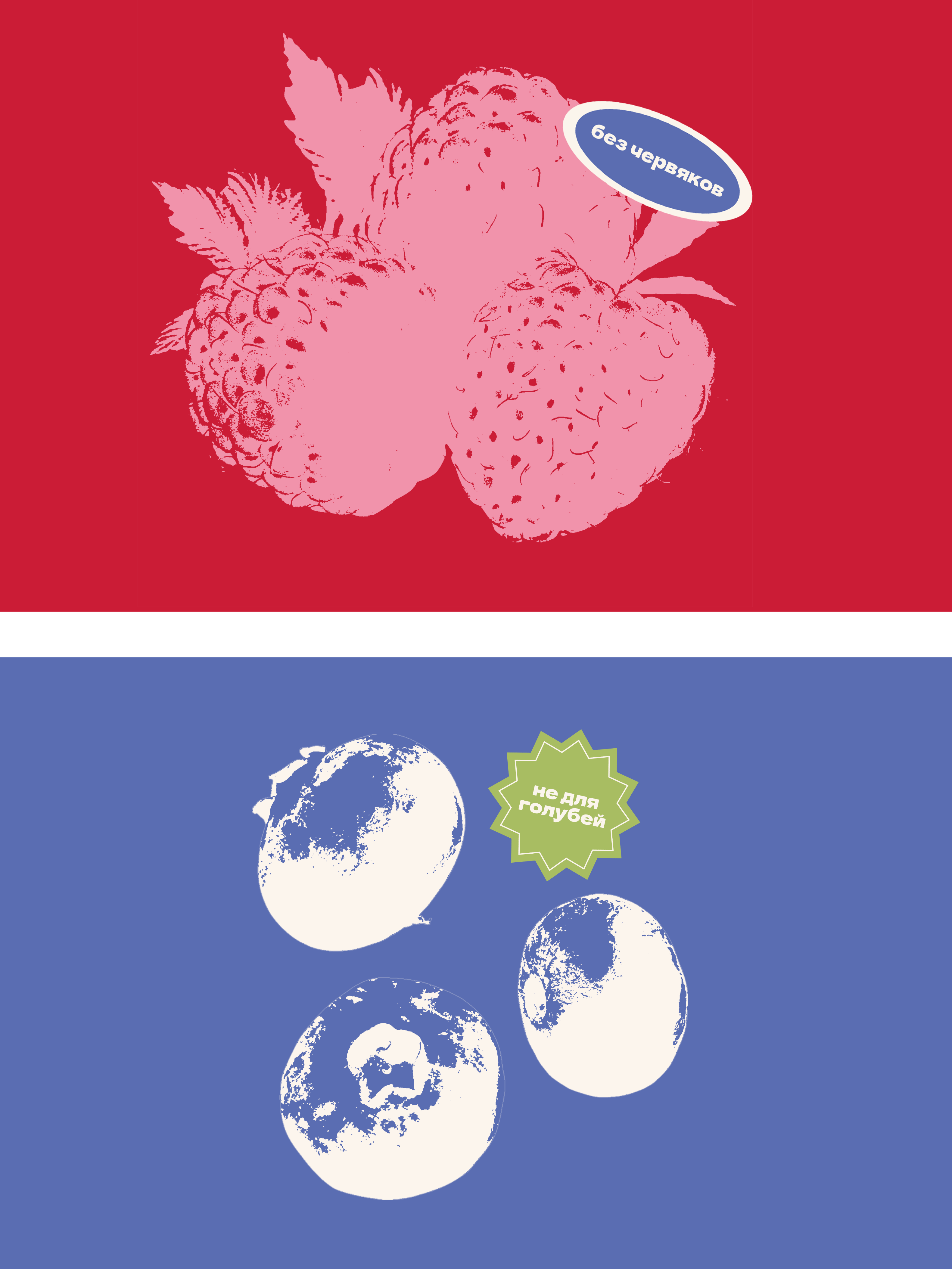 Сад Ягод — Изображение №3 — Брендинг на Dprofile