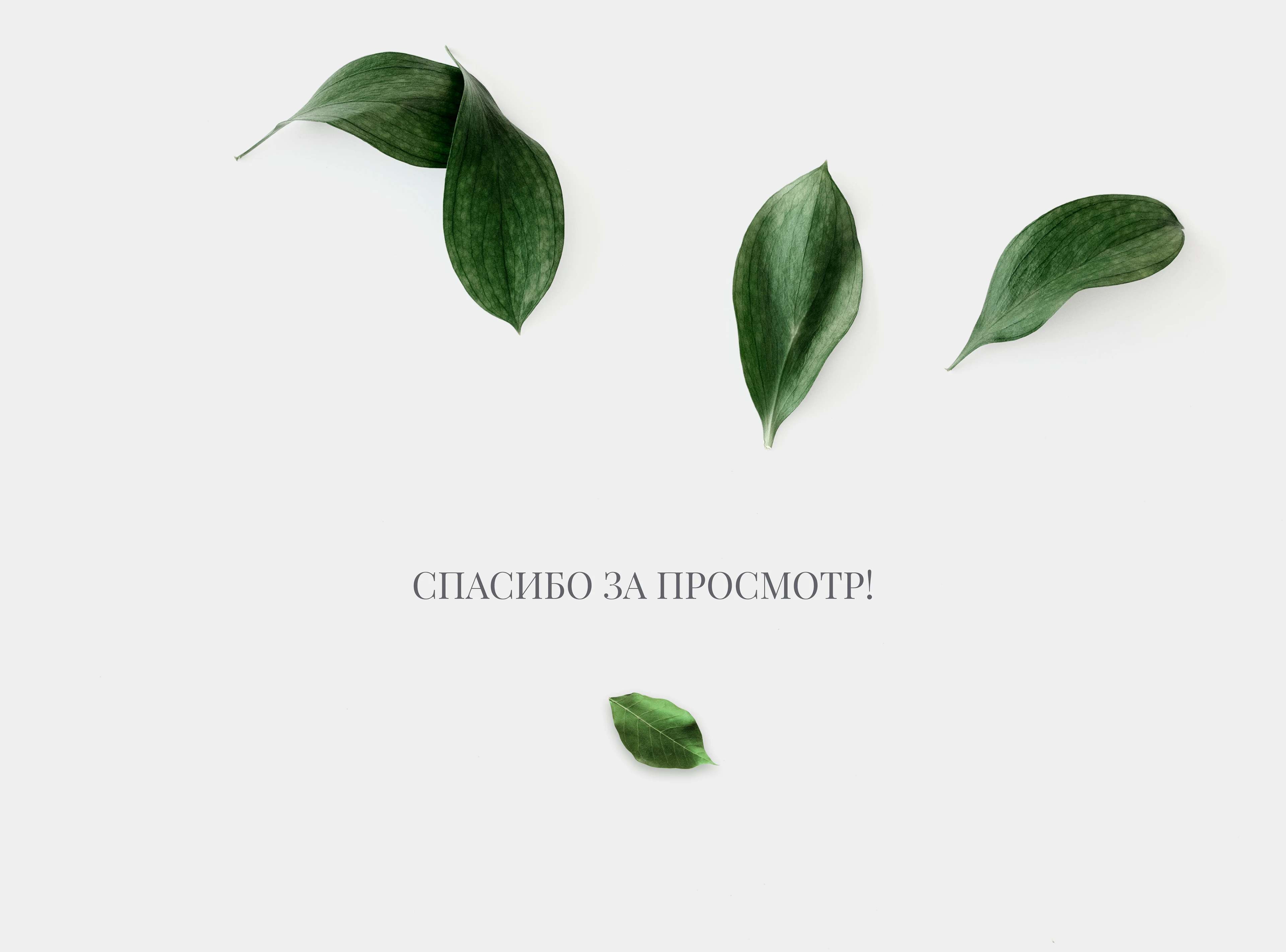 doTERRA - online store — Изображение №7 — Интерфейсы на Dprofile