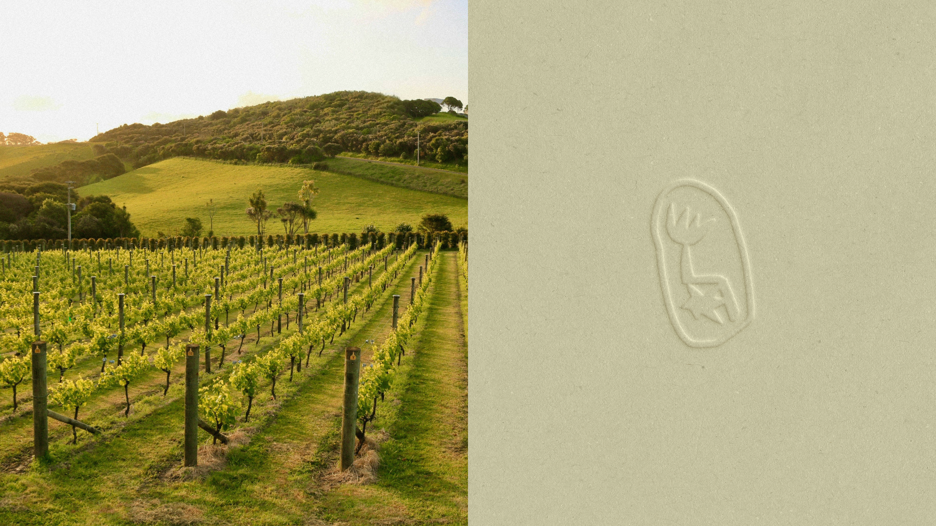 Dafa — Wines New Zealand — Изображение №2 — Брендинг, Иллюстрация на Dprofile