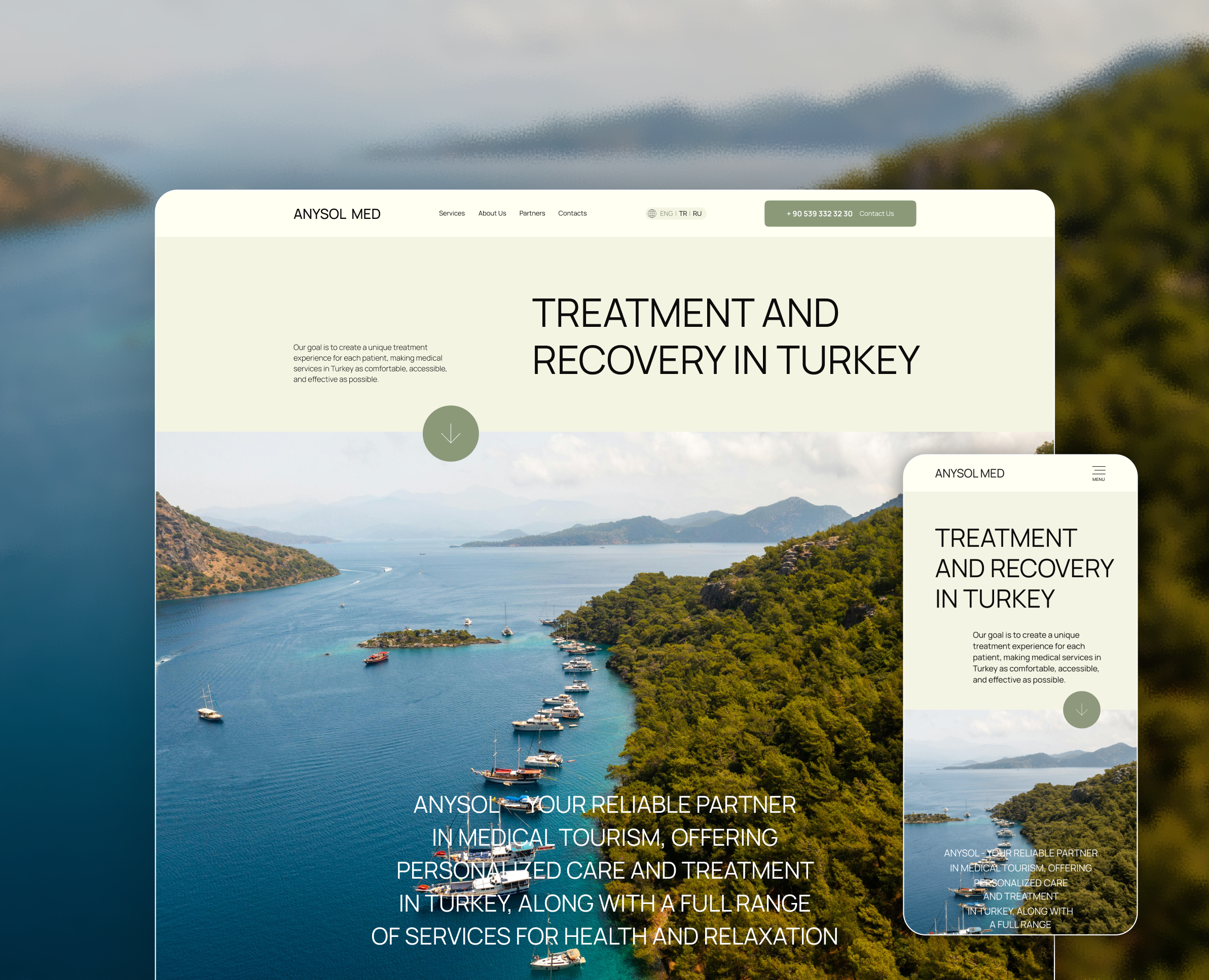 Дизайн сайта для медицинского туризма в Турции — Интерфейсы на Dprofile