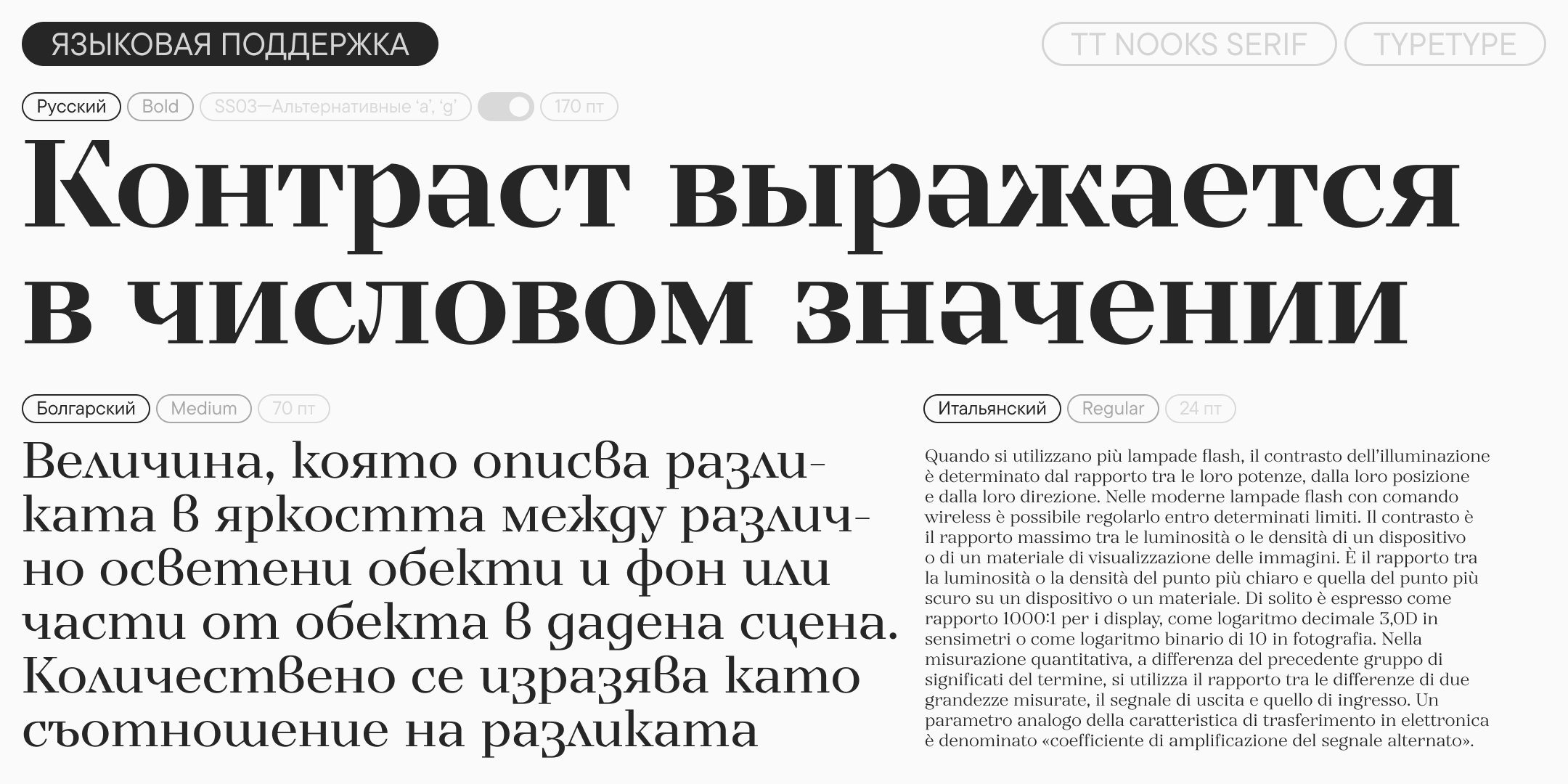 TT Nooks Serif UPD 2026 — Изображение №8 — Графика на Dprofile