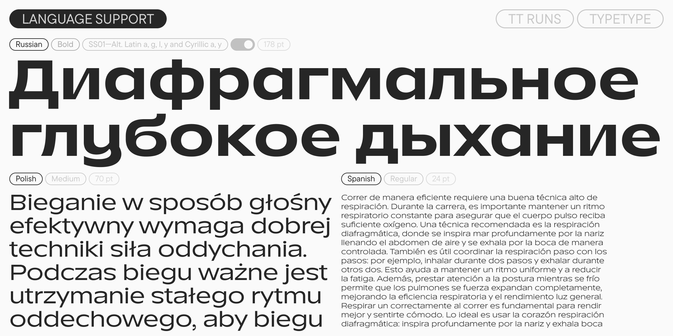 TT Runs UPD 2026 — Изображение №8 — Графика на Dprofile