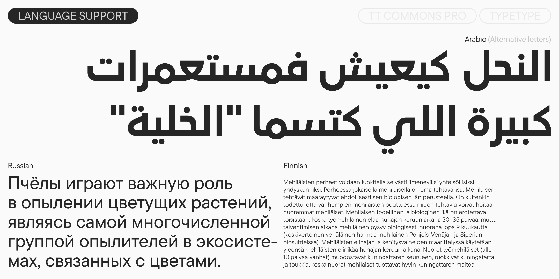 TT Commons™ Pro UPD 2025 — Изображение №9 — Графика на Dprofile