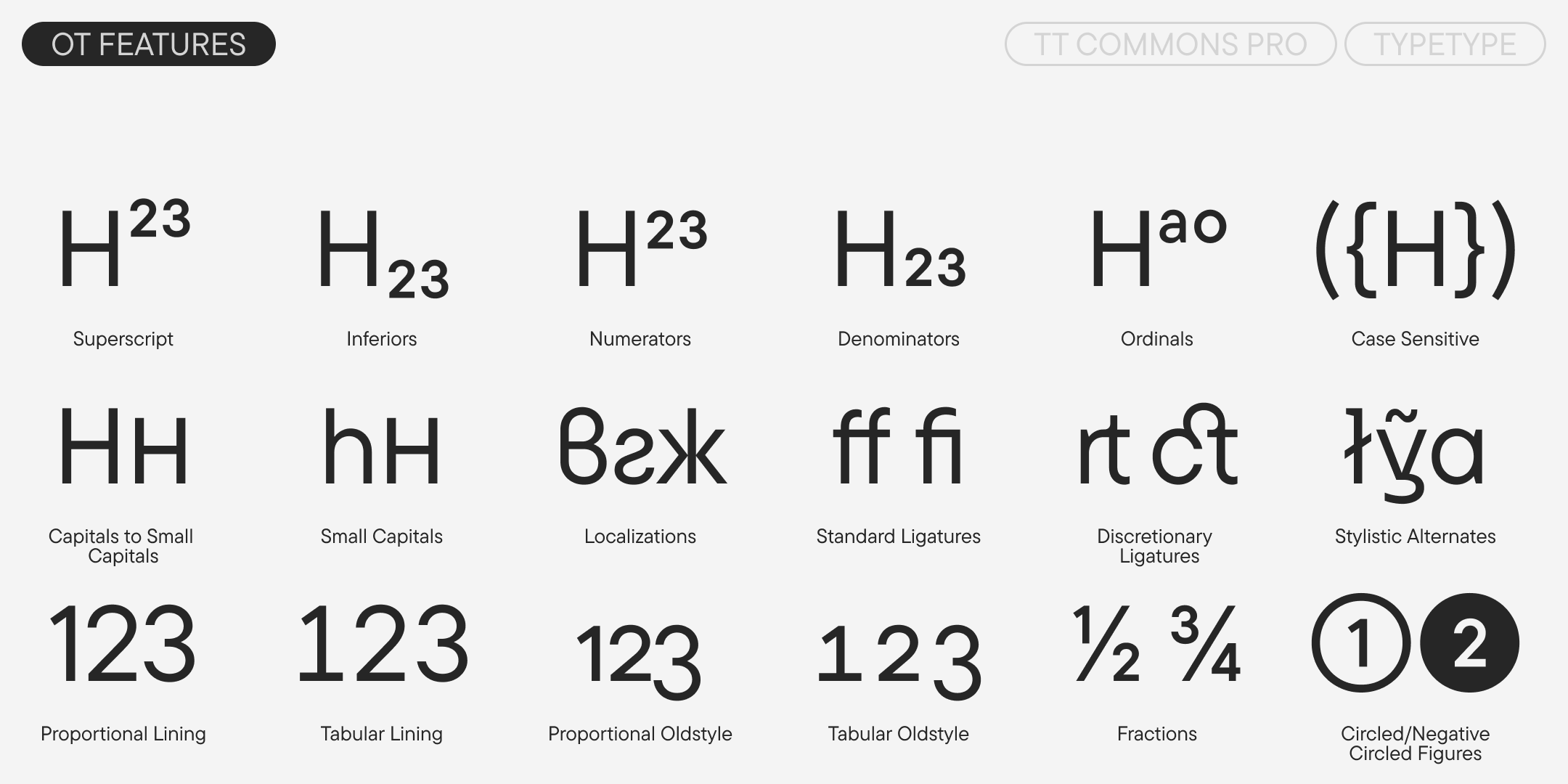 TT Commons™ Pro UPD 2025 — Изображение №13 — Графика на Dprofile