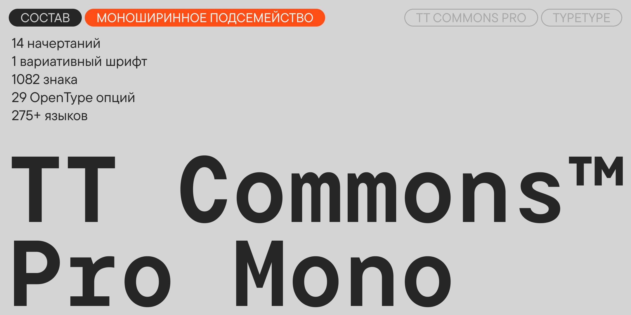 TT Commons™ Pro UPD 2026 — Изображение №16 — Графика на Dprofile