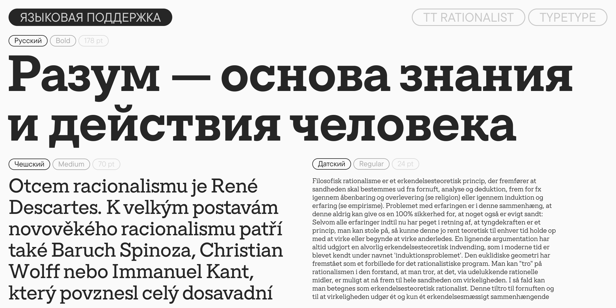 TT Rationalist UPD 2026 — Изображение №8 — Графика на Dprofile