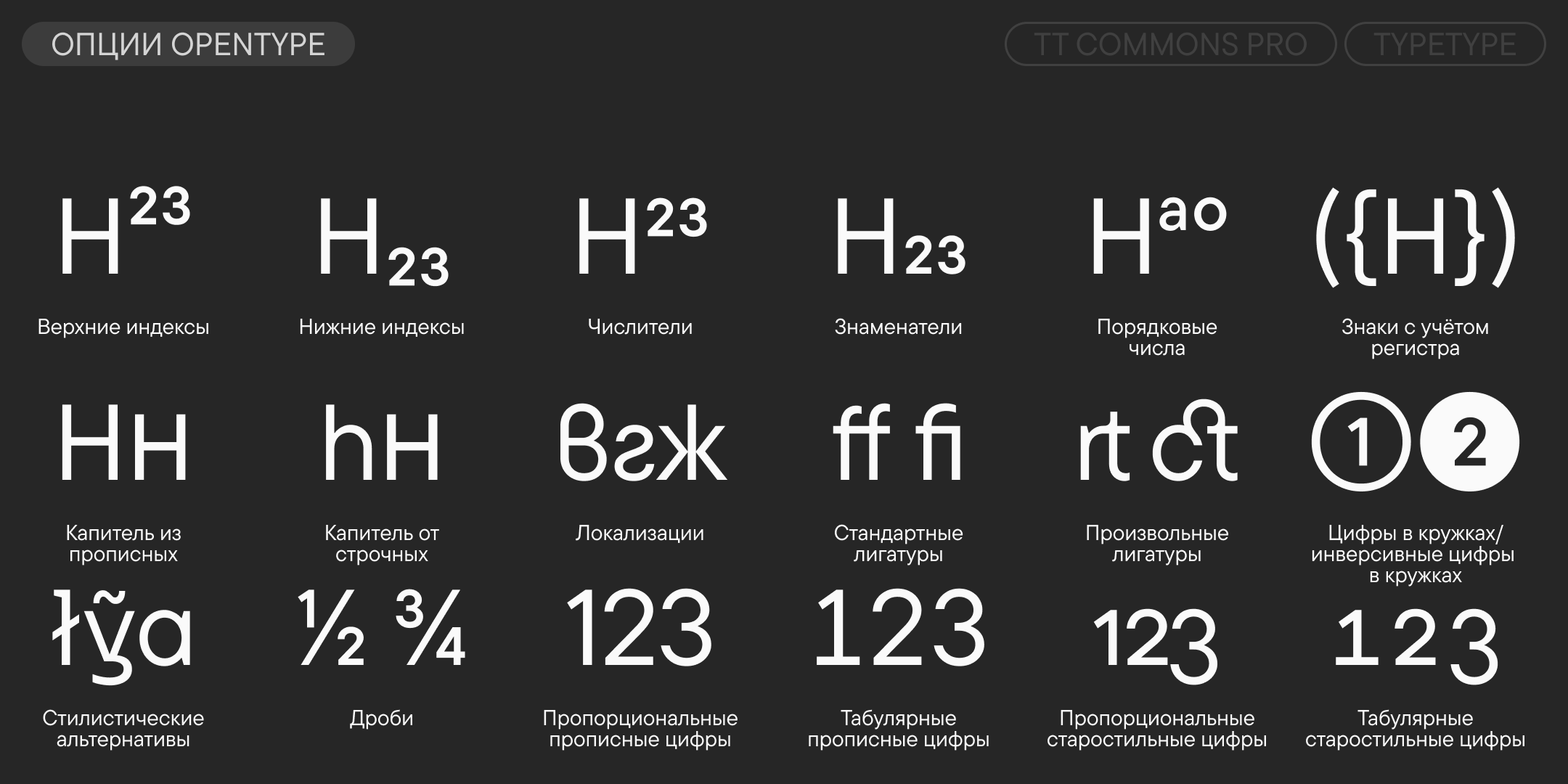TT Commons™ Pro UPD 2026 — Изображение №12 — Графика на Dprofile