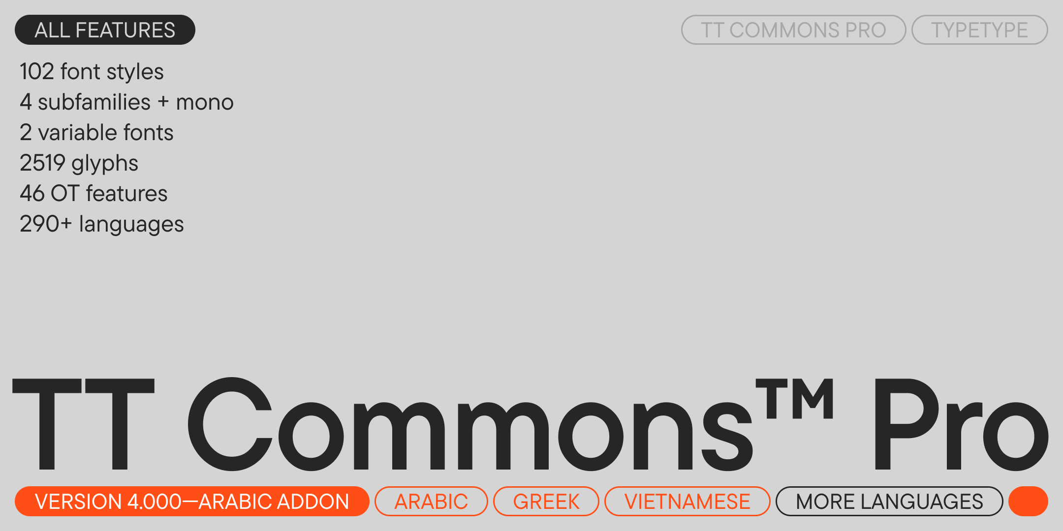TT Commons™ Pro UPD 2025 — Изображение №2 — Графика на Dprofile