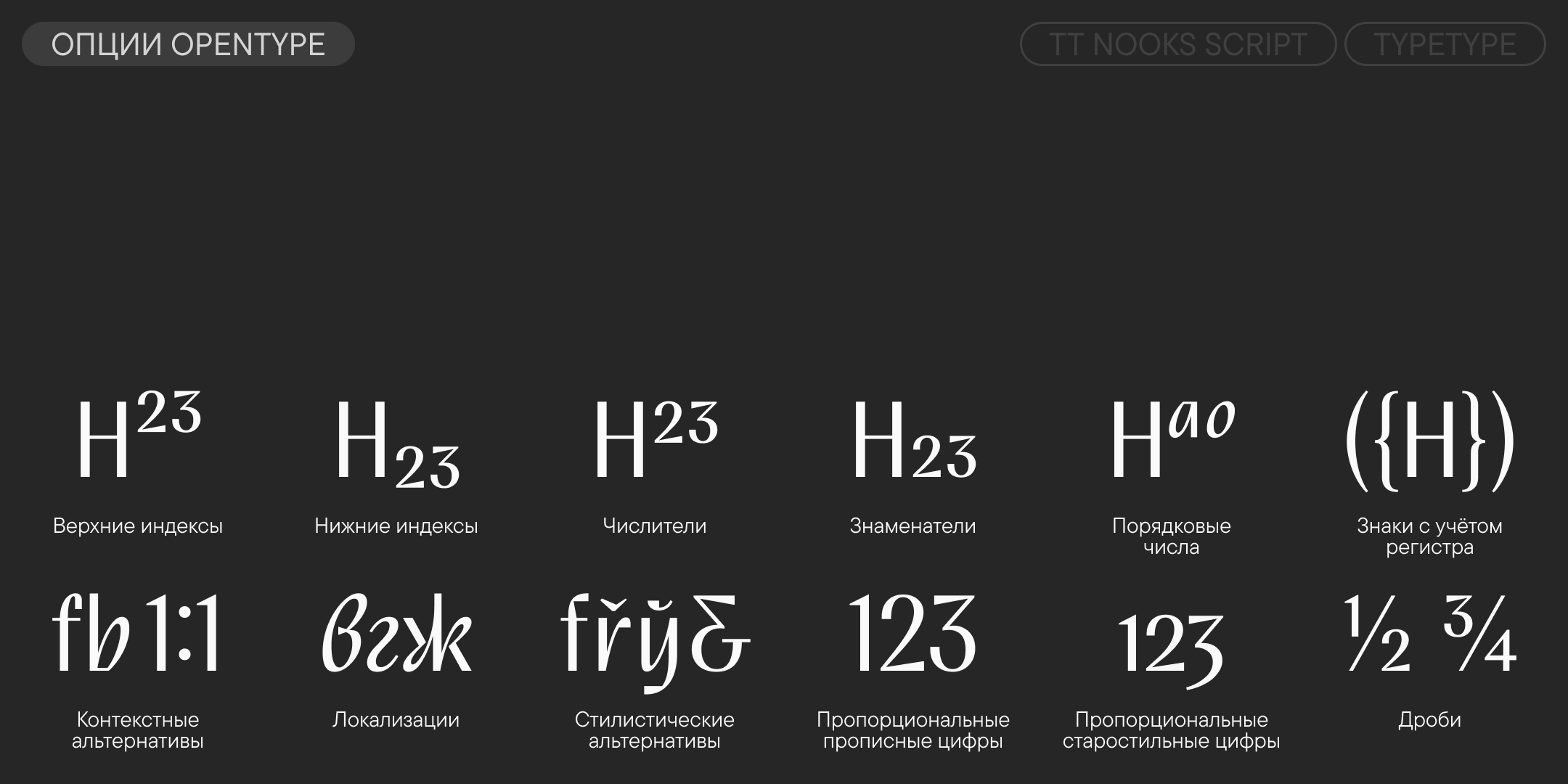 TT Nooks Script UPD 2026 — Изображение №12 — Графика на Dprofile